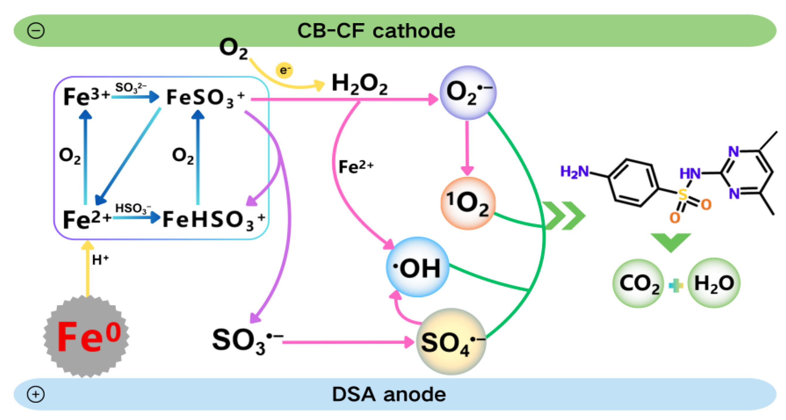 Catalysts 15 00680 g009