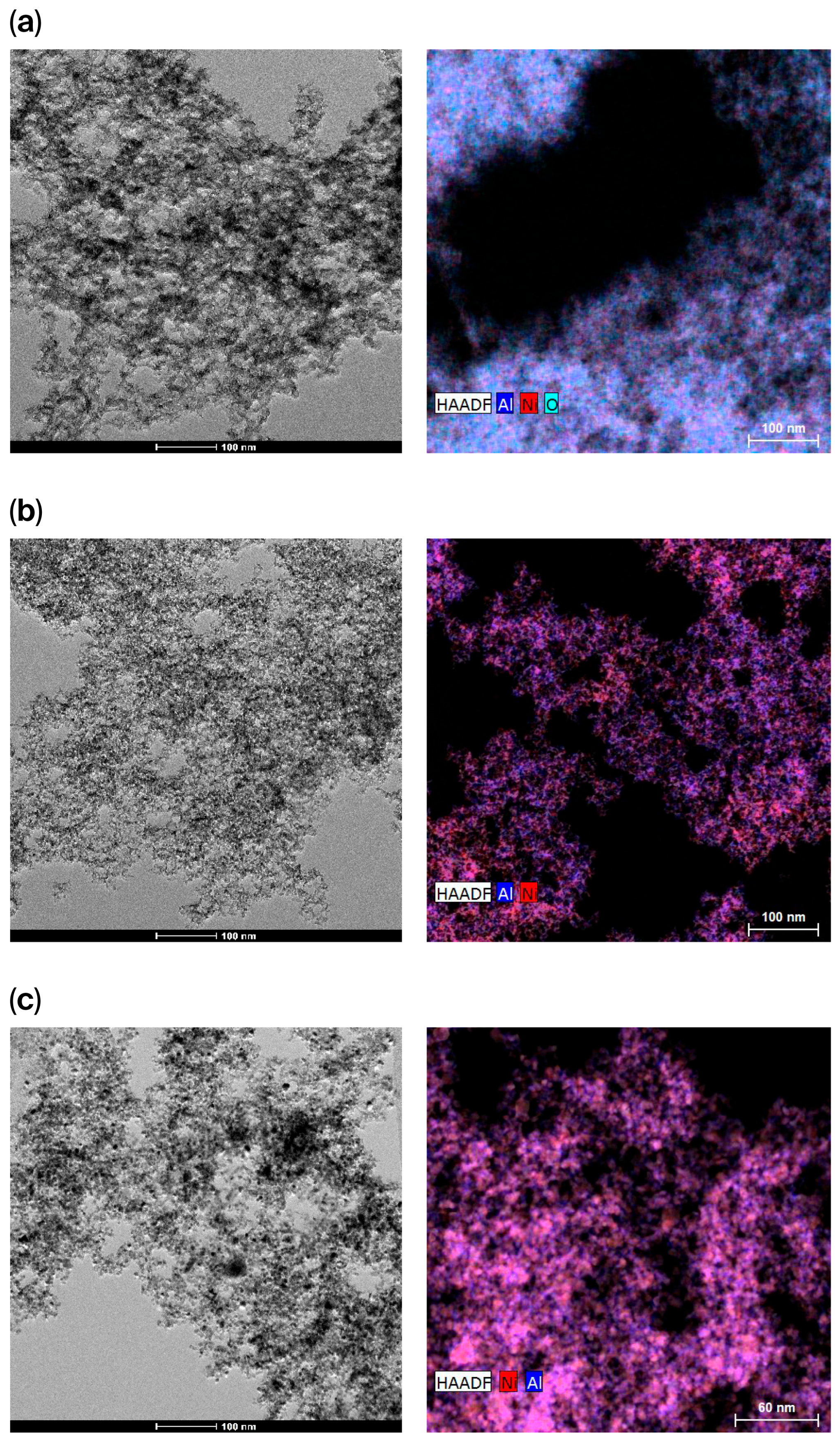 Catalysts 15 00686 g003