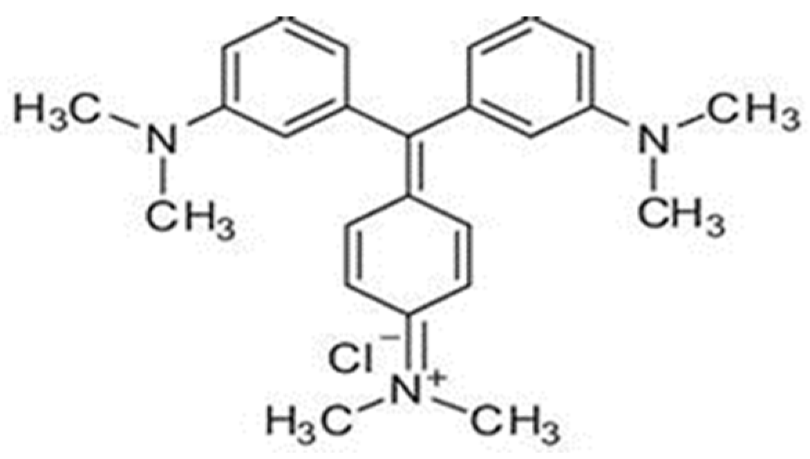 Catalysts 15 00687 g001