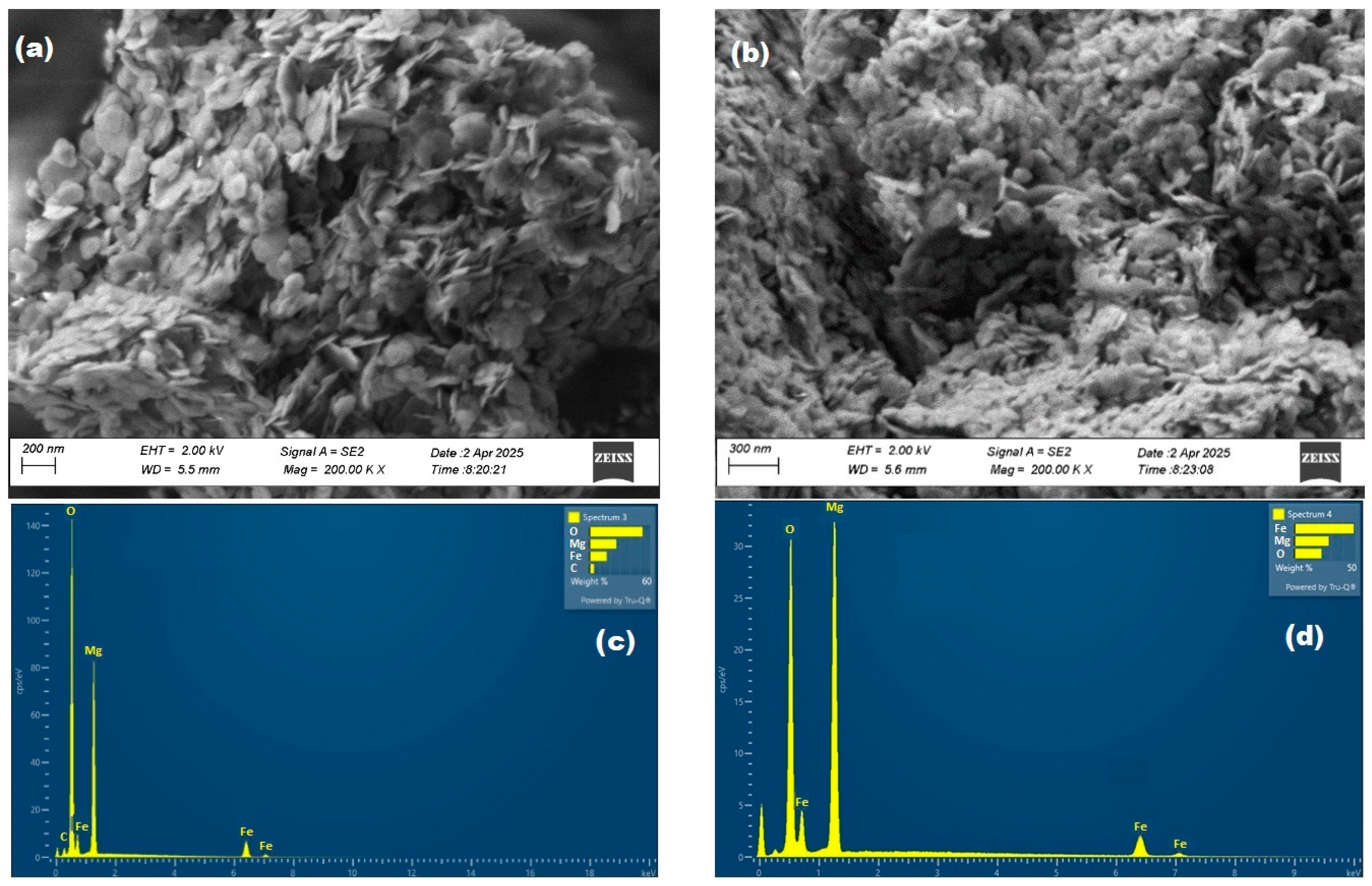 Catalysts 15 00687 g005