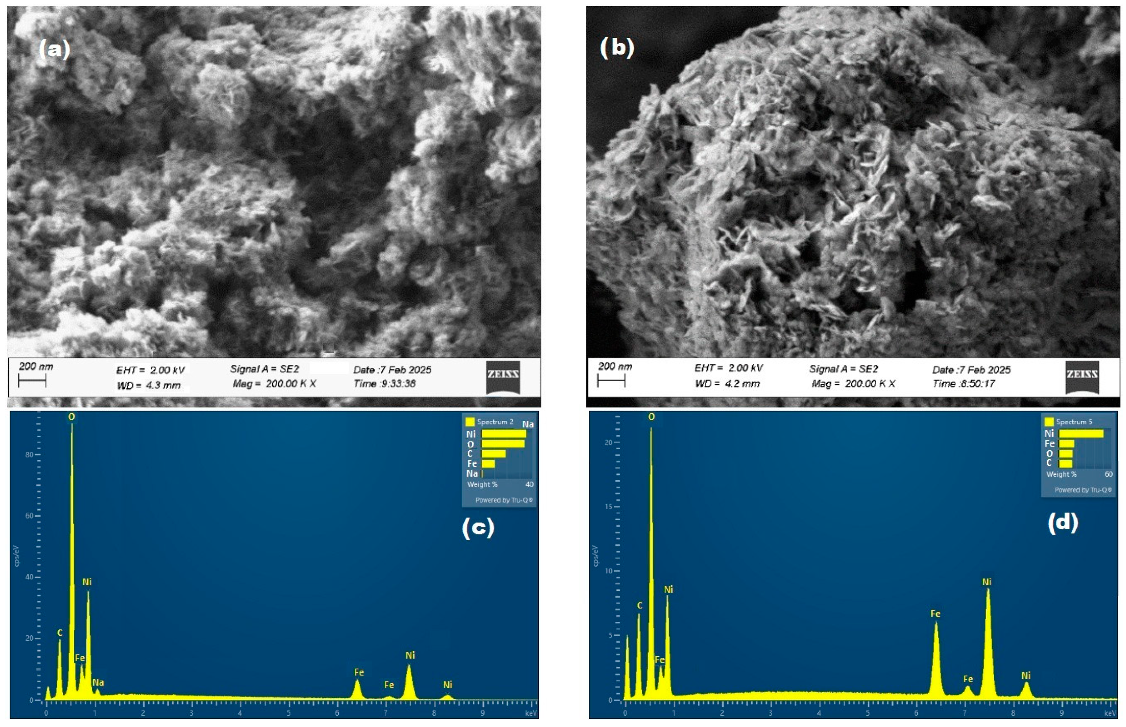 Catalysts 15 00687 g007