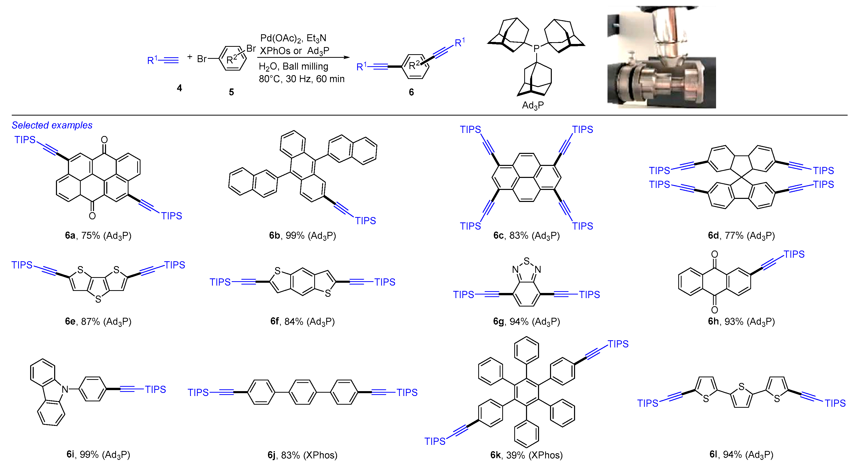 Catalysts 15 00690 sch002