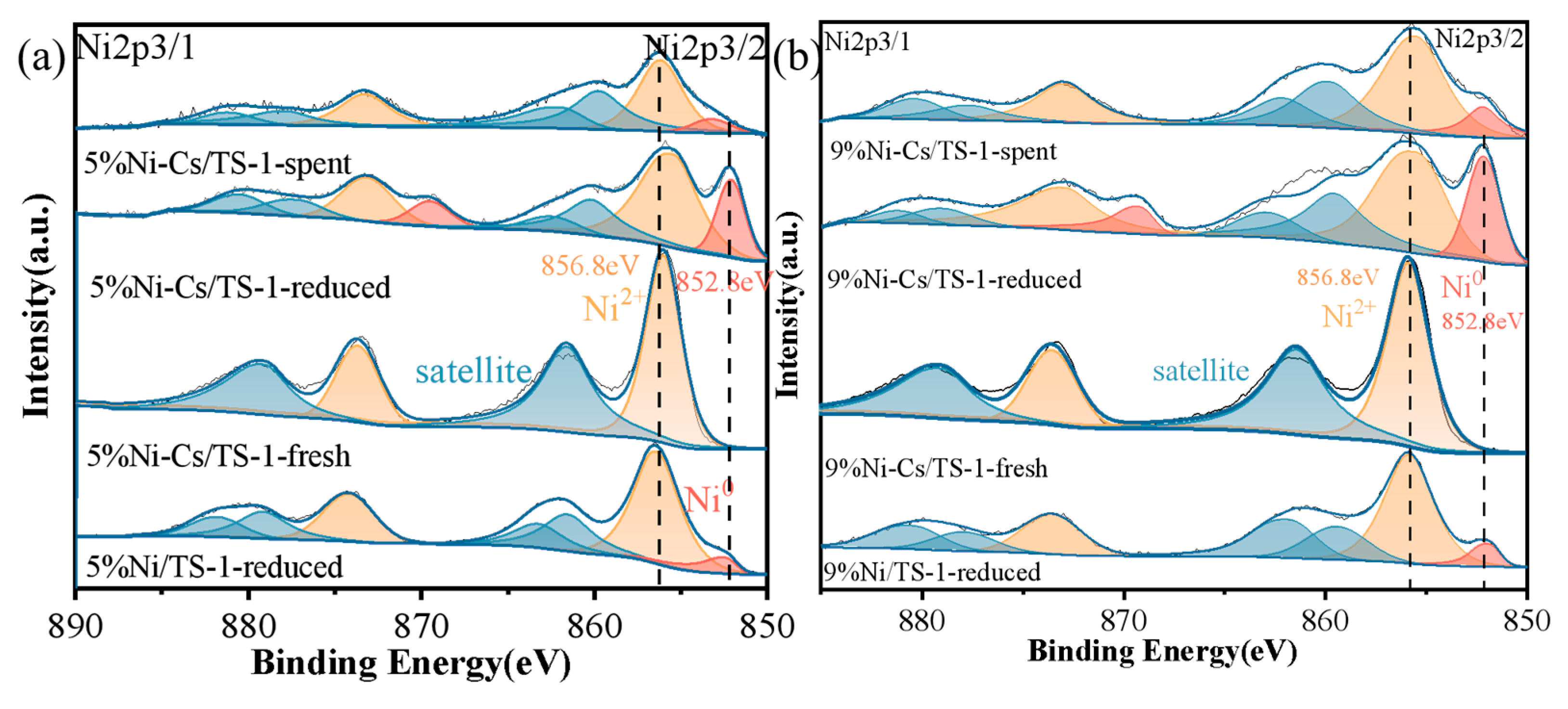 Catalysts 15 00694 g002 Catalysts 15 00694 g002
