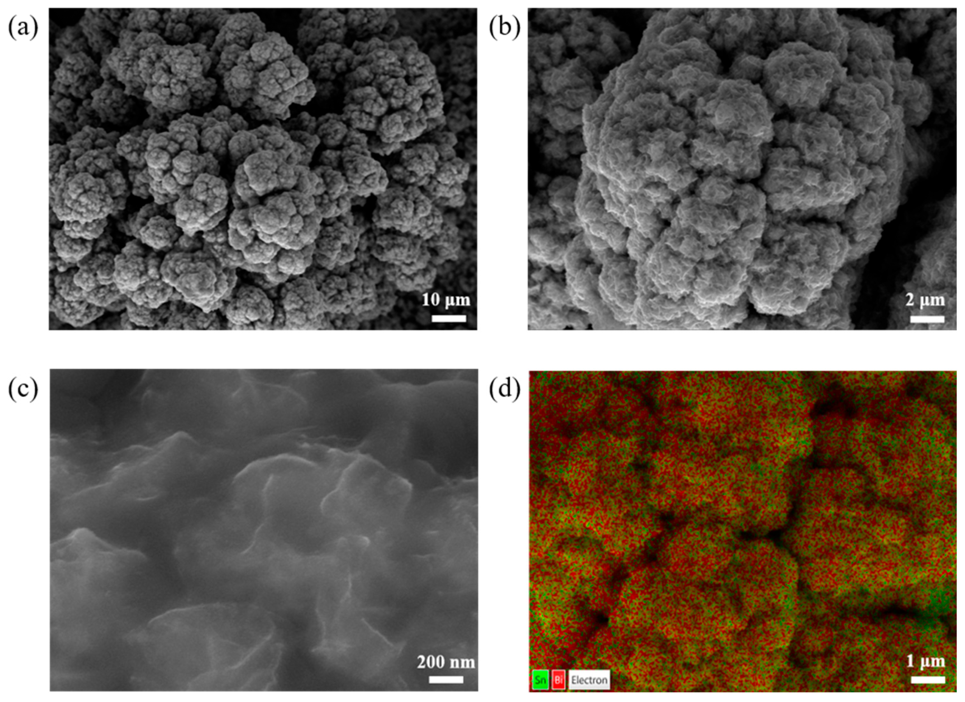 Catalysts 15 00698 g001