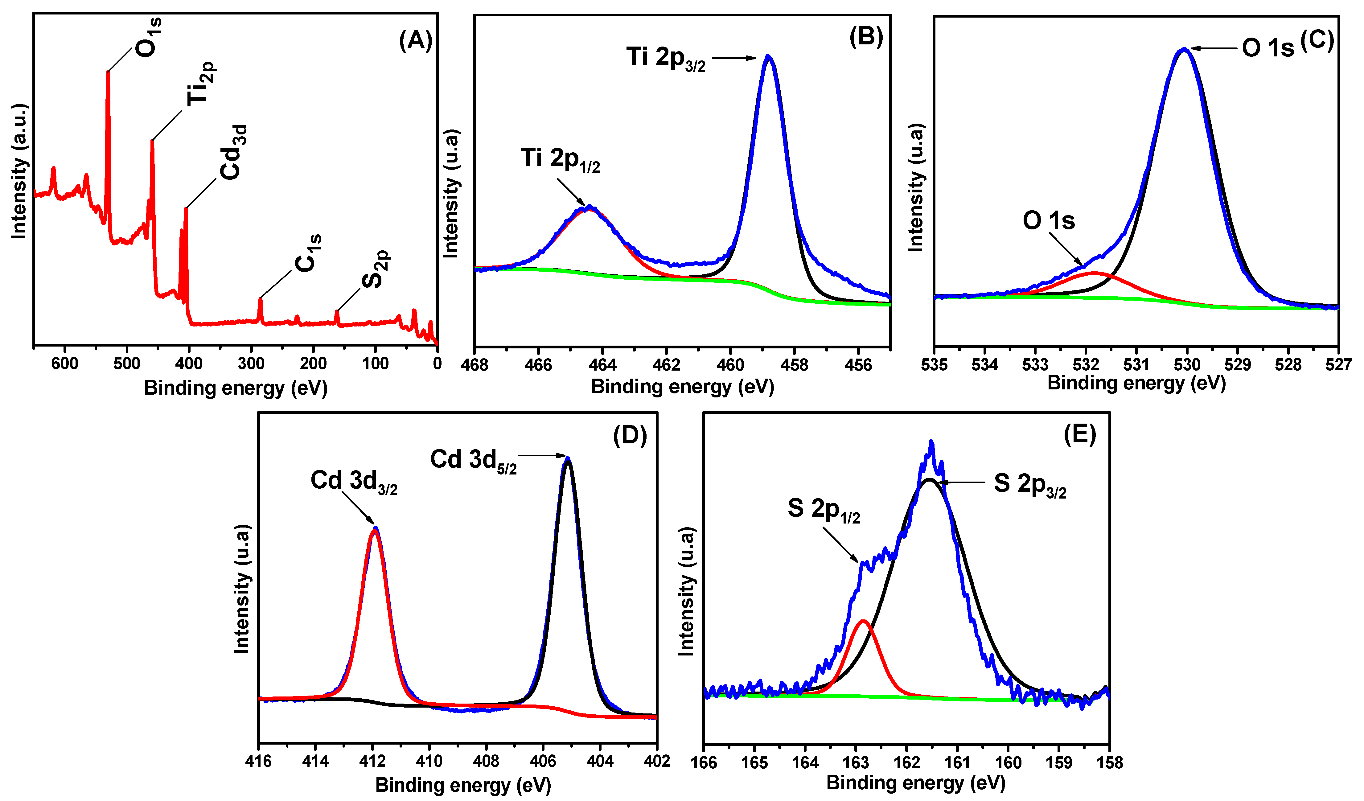 Catalysts 15 00699 g006