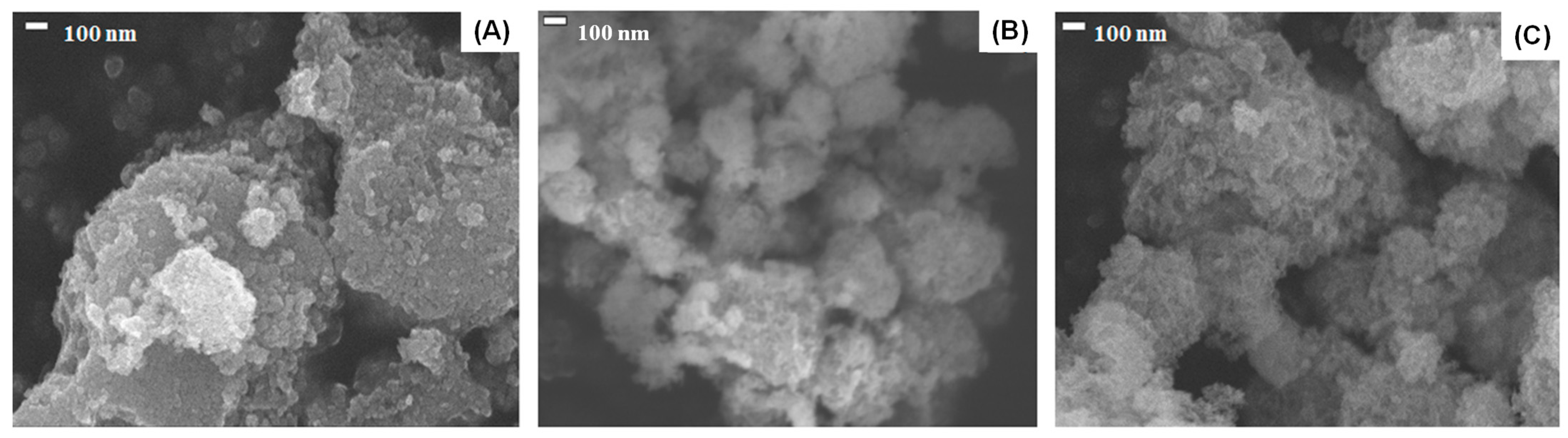 Catalysts 15 00699 g007