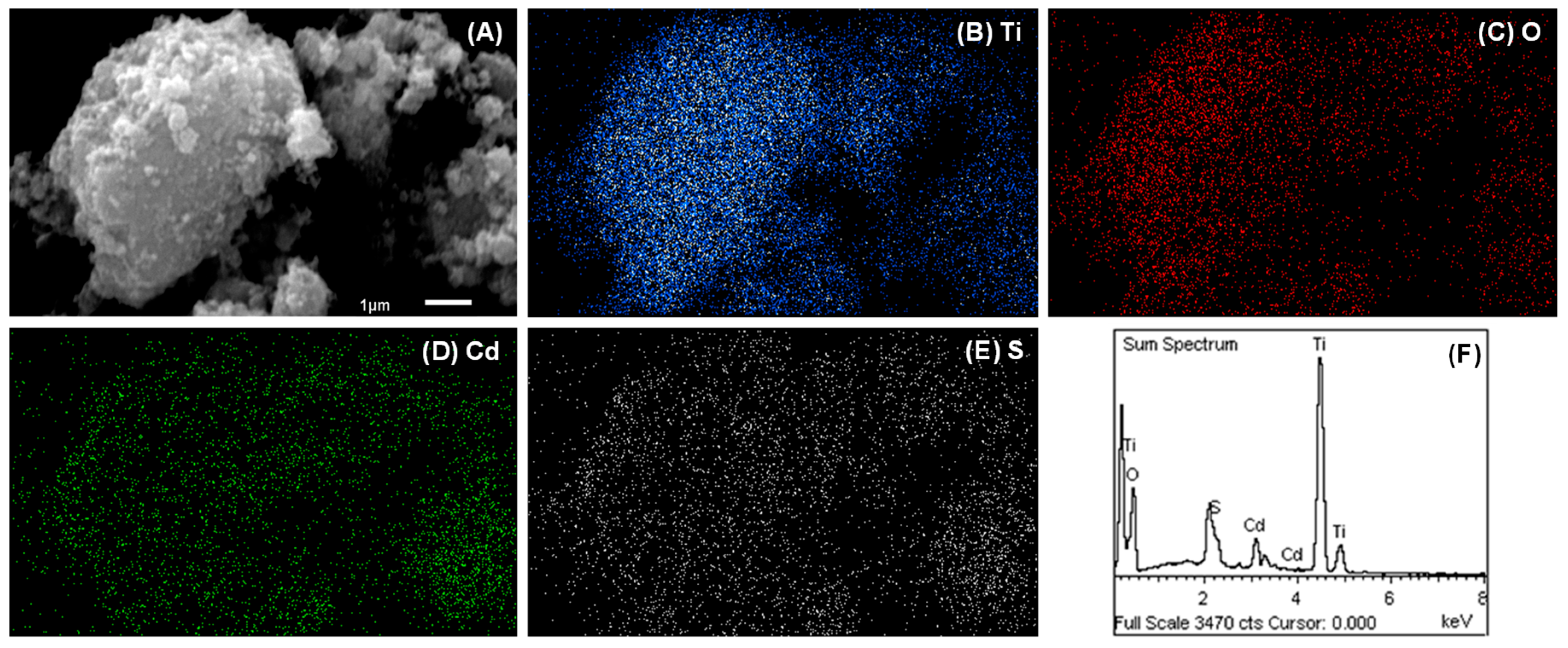 Catalysts 15 00699 g008