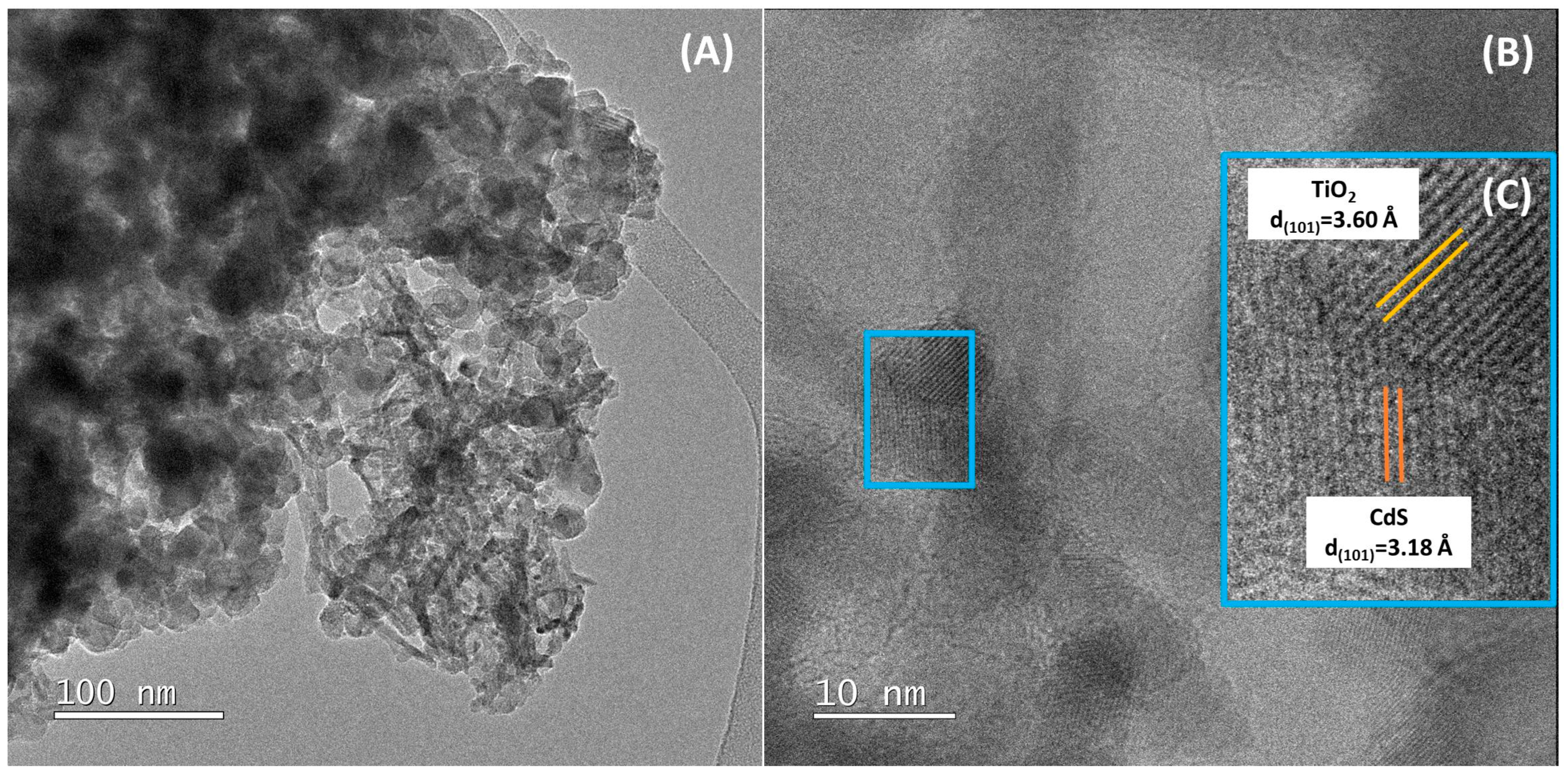 Catalysts 15 00699 g009