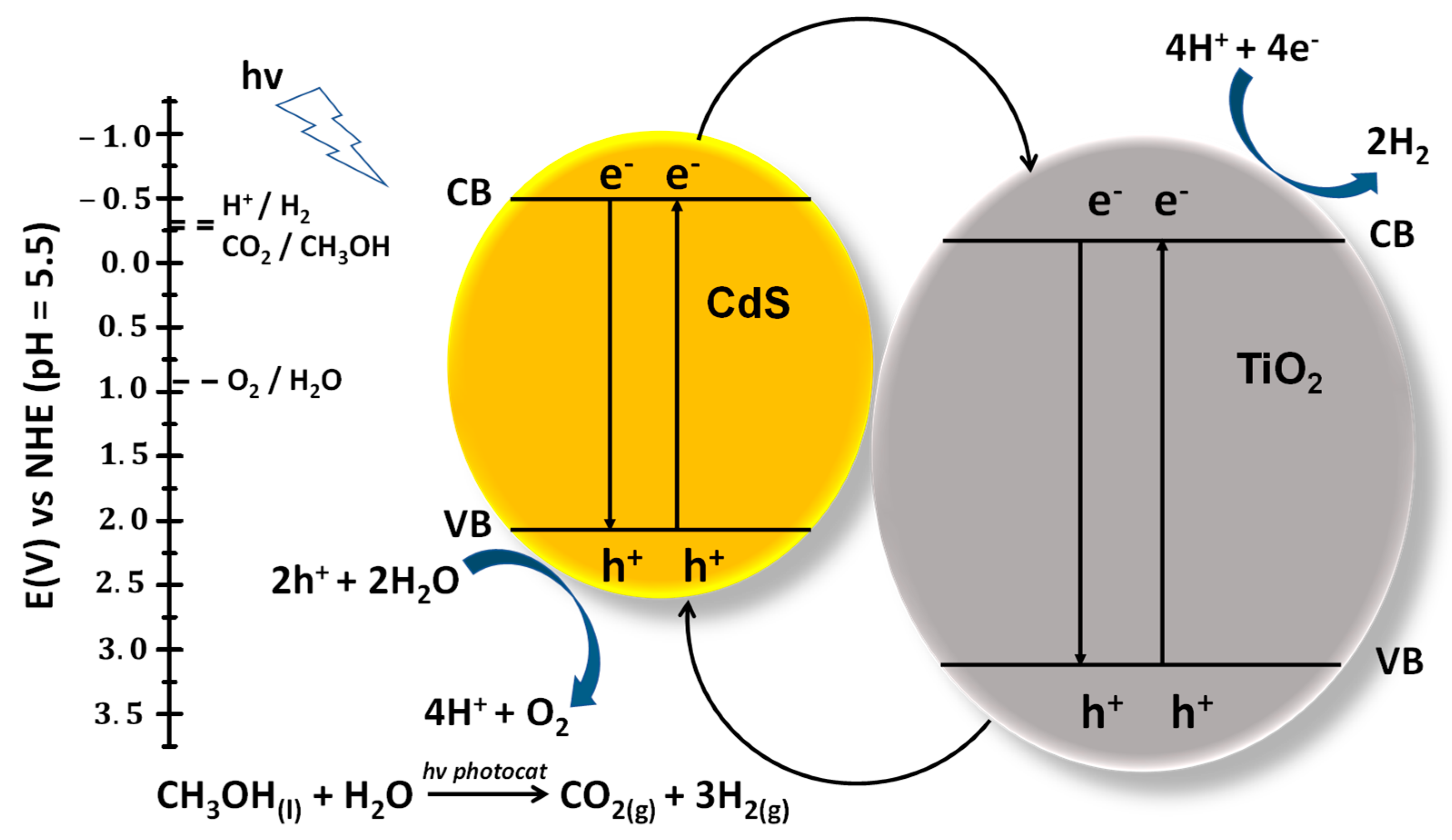Catalysts 15 00699 g016