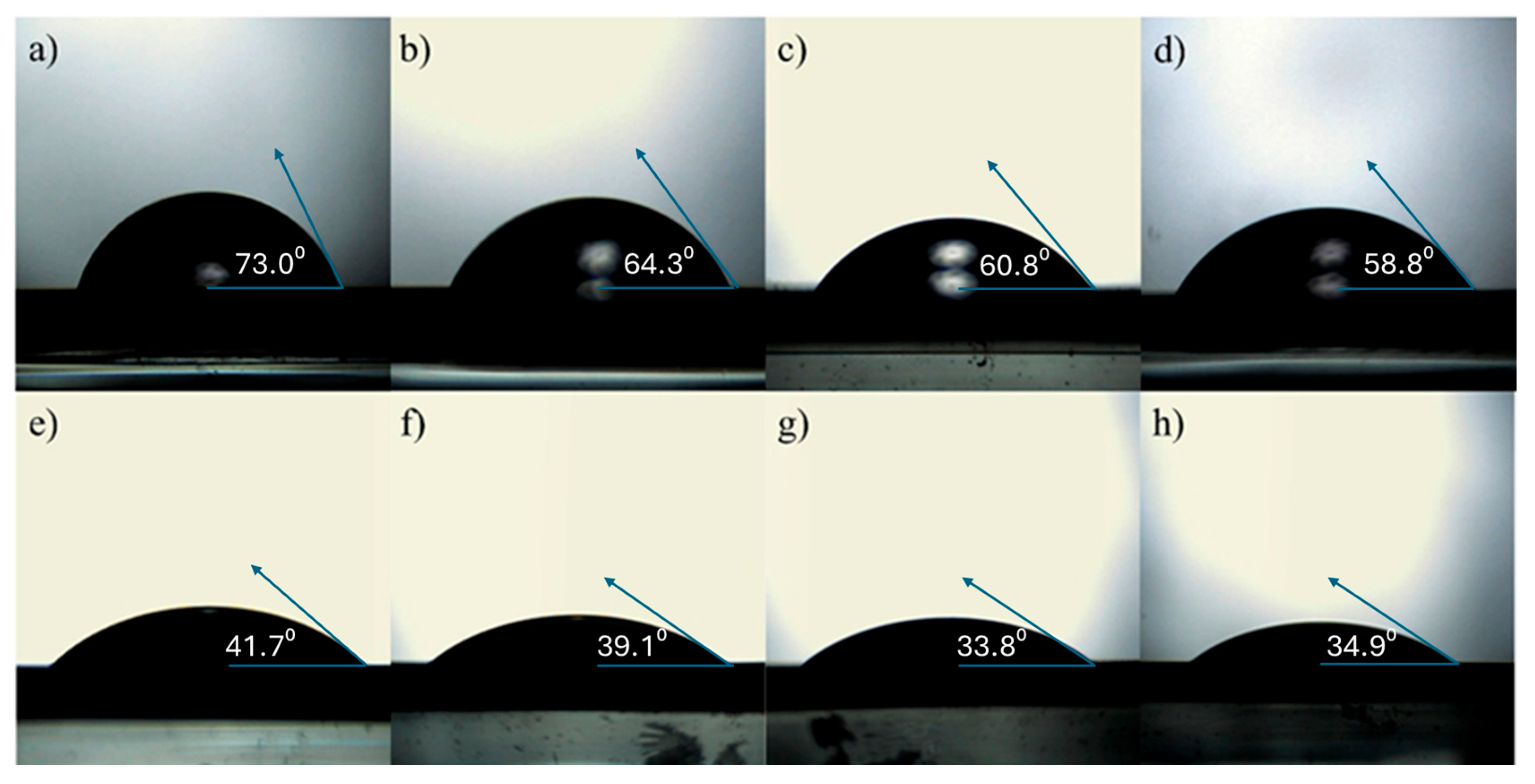 Catalysts 15 00701 g008