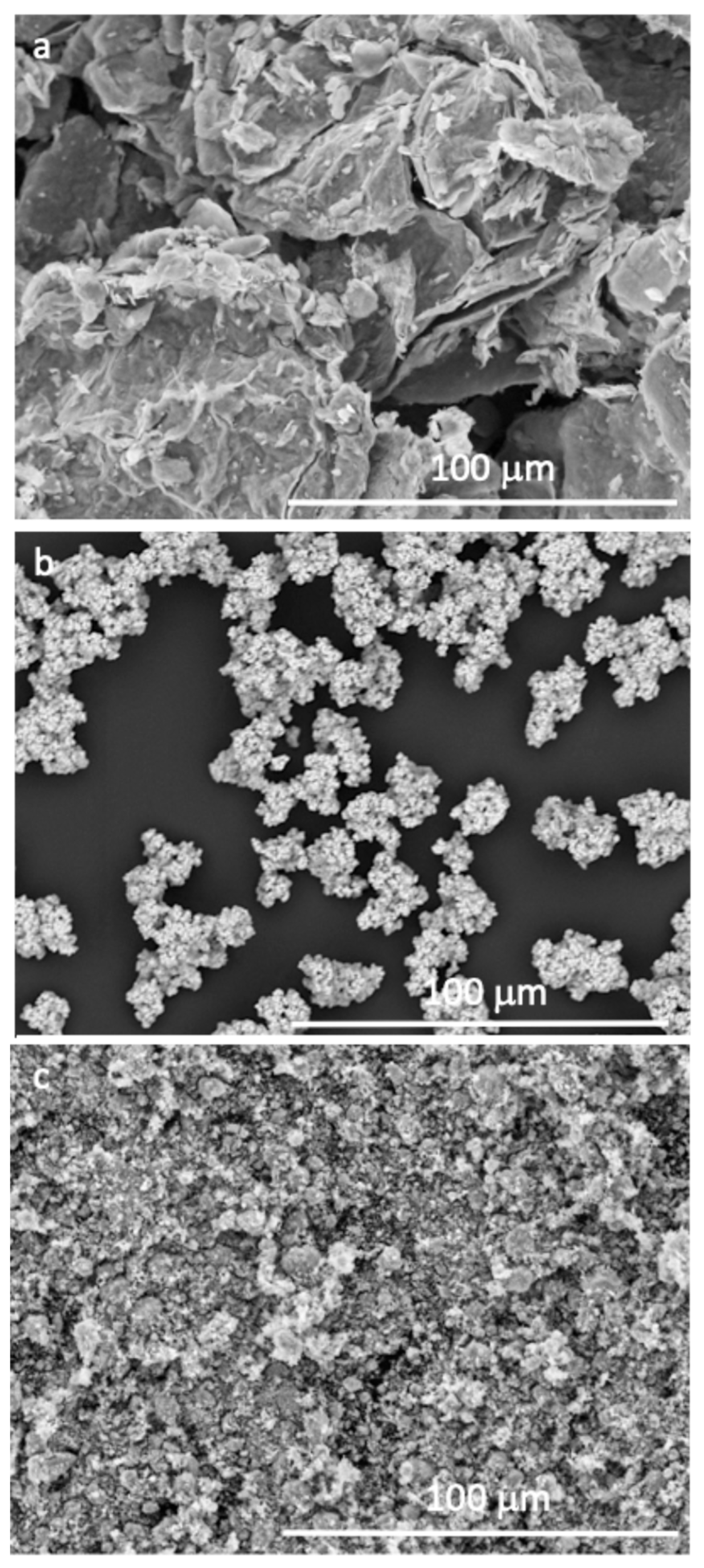 Catalysts 15 00702 g003