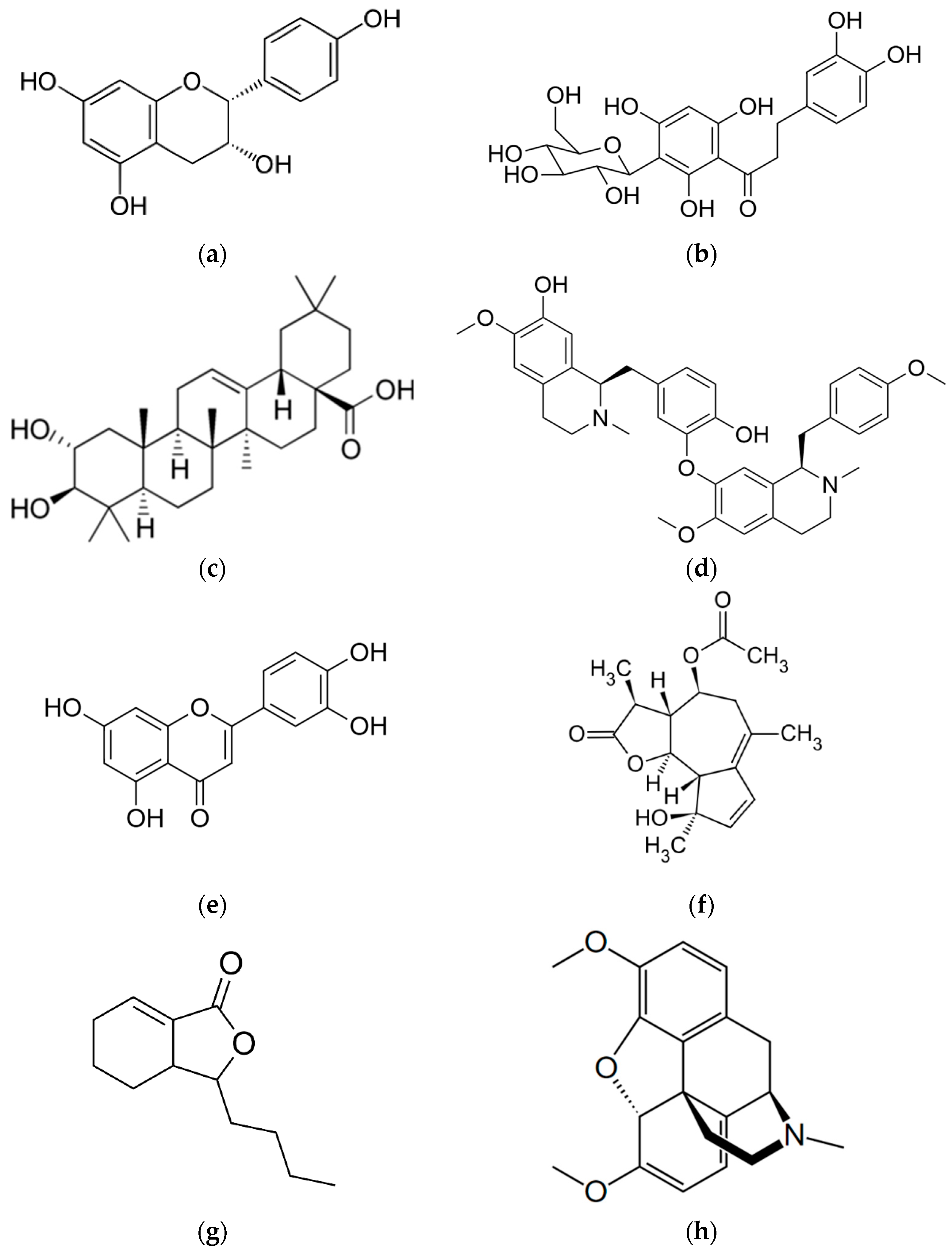 Catalysts 15 00707 g001