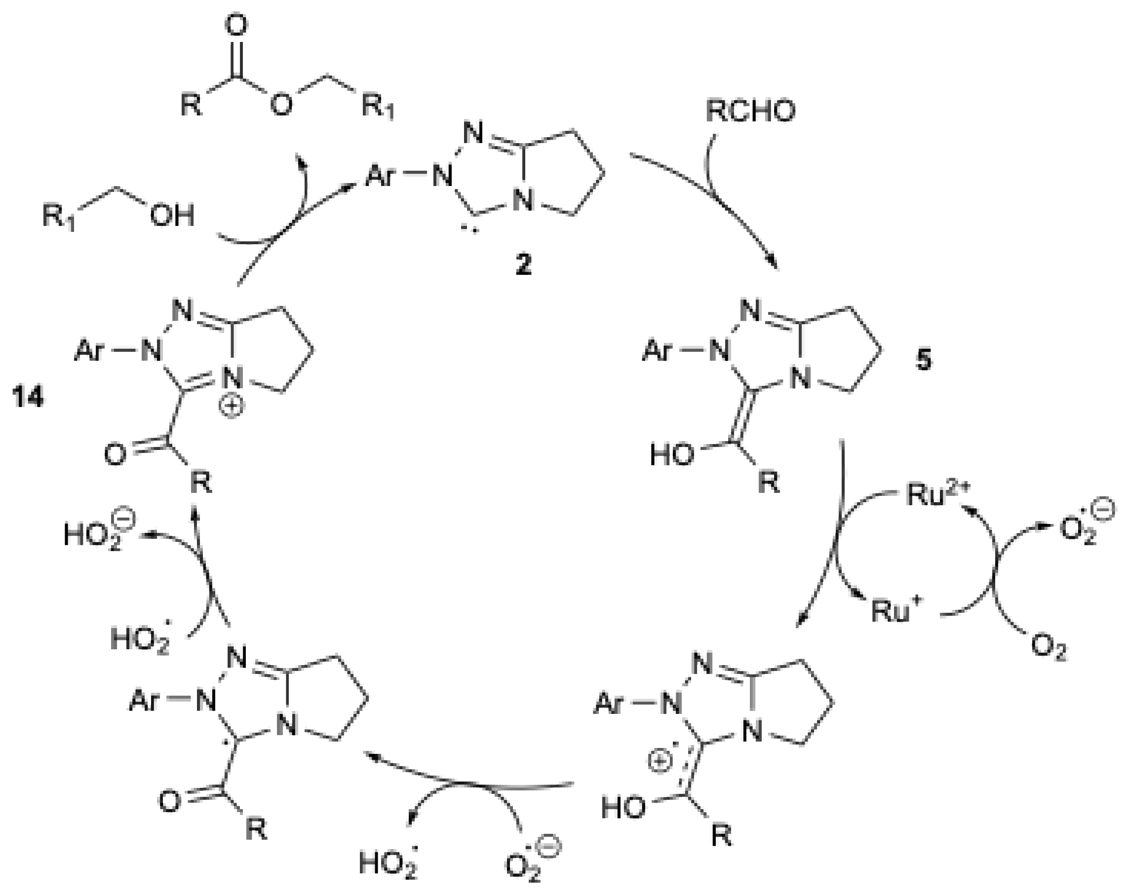 Catalysts 15 00708 g003