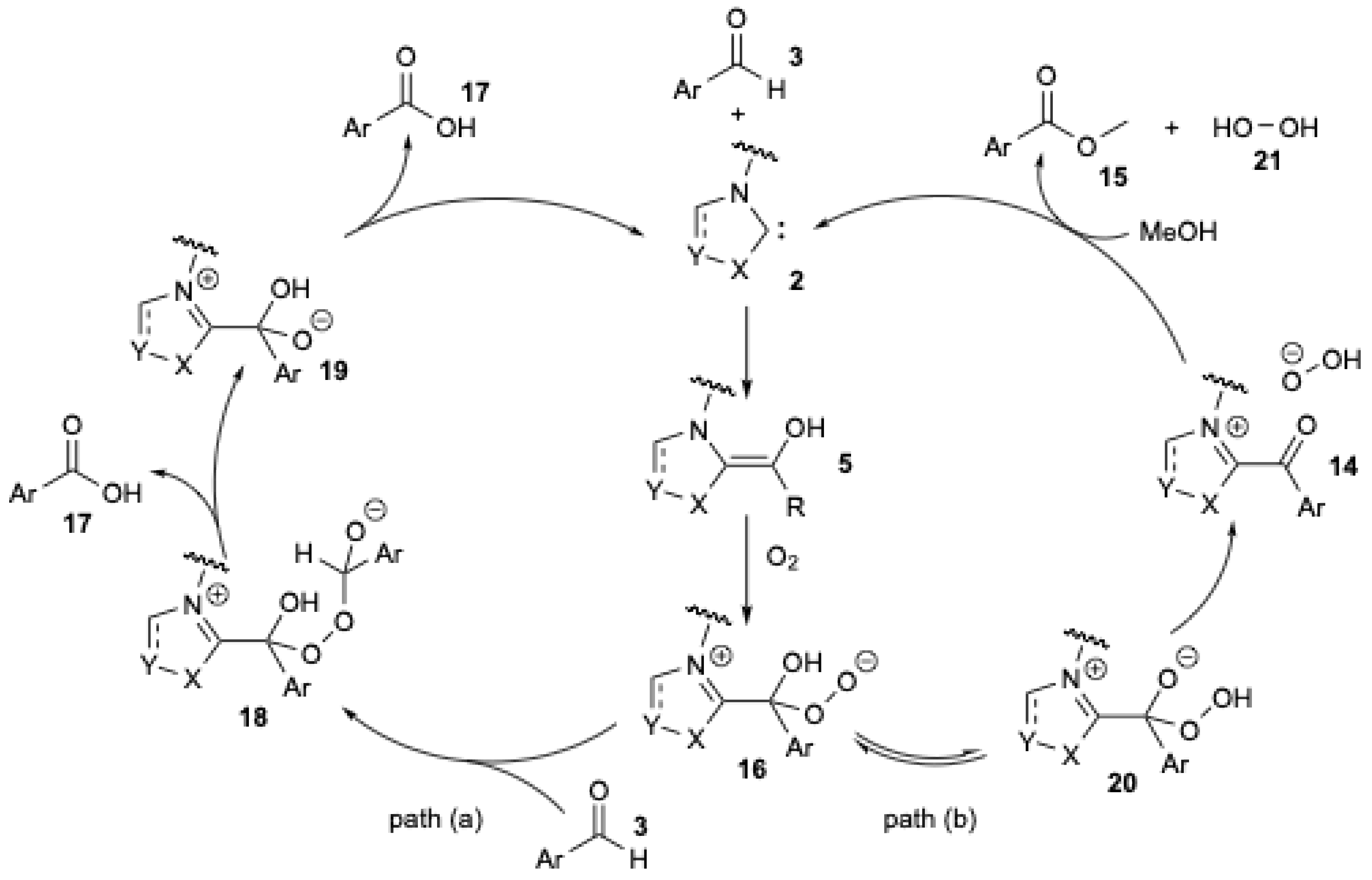 Catalysts 15 00708 g004