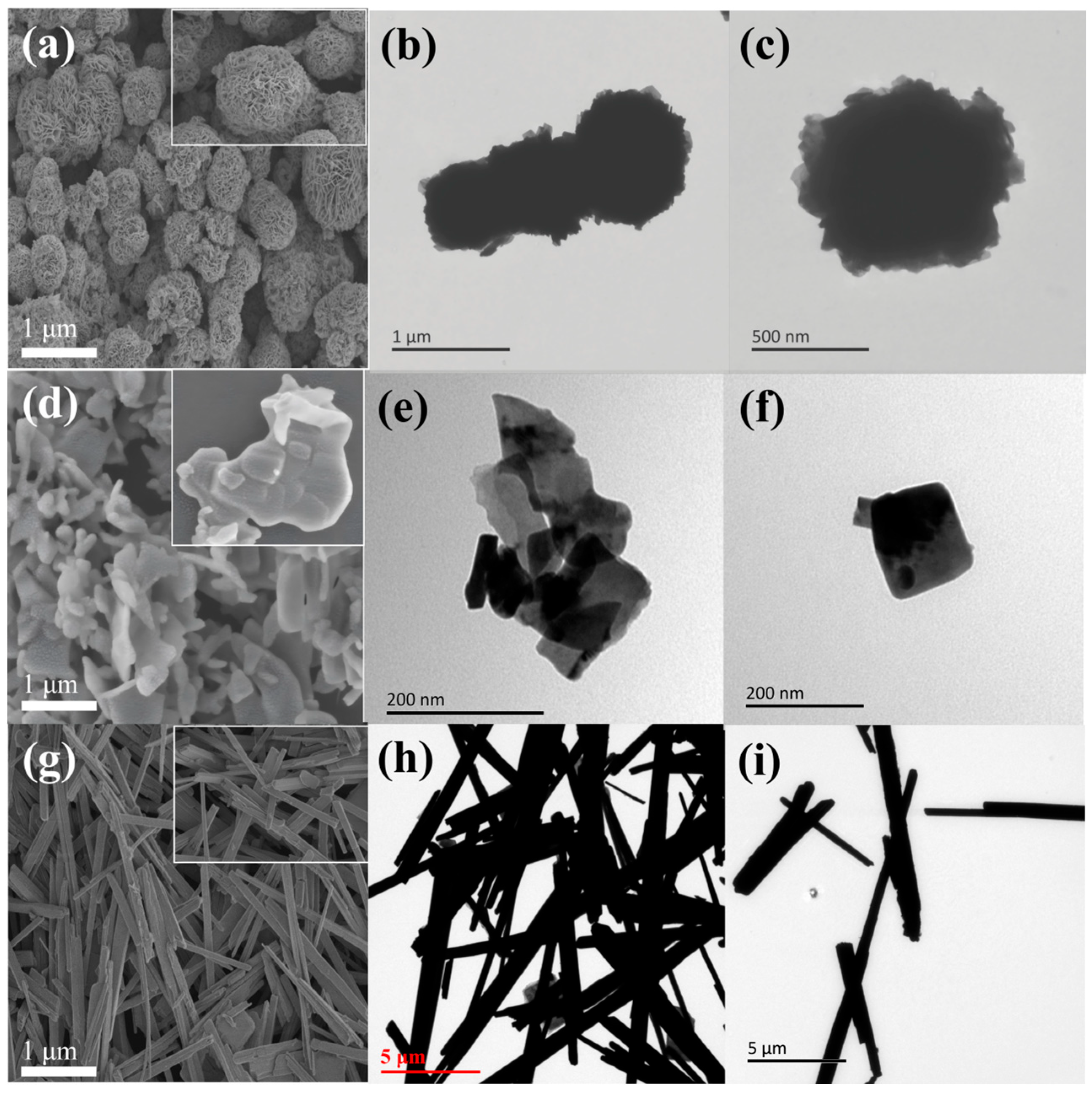 Catalysts 15 00714 g001