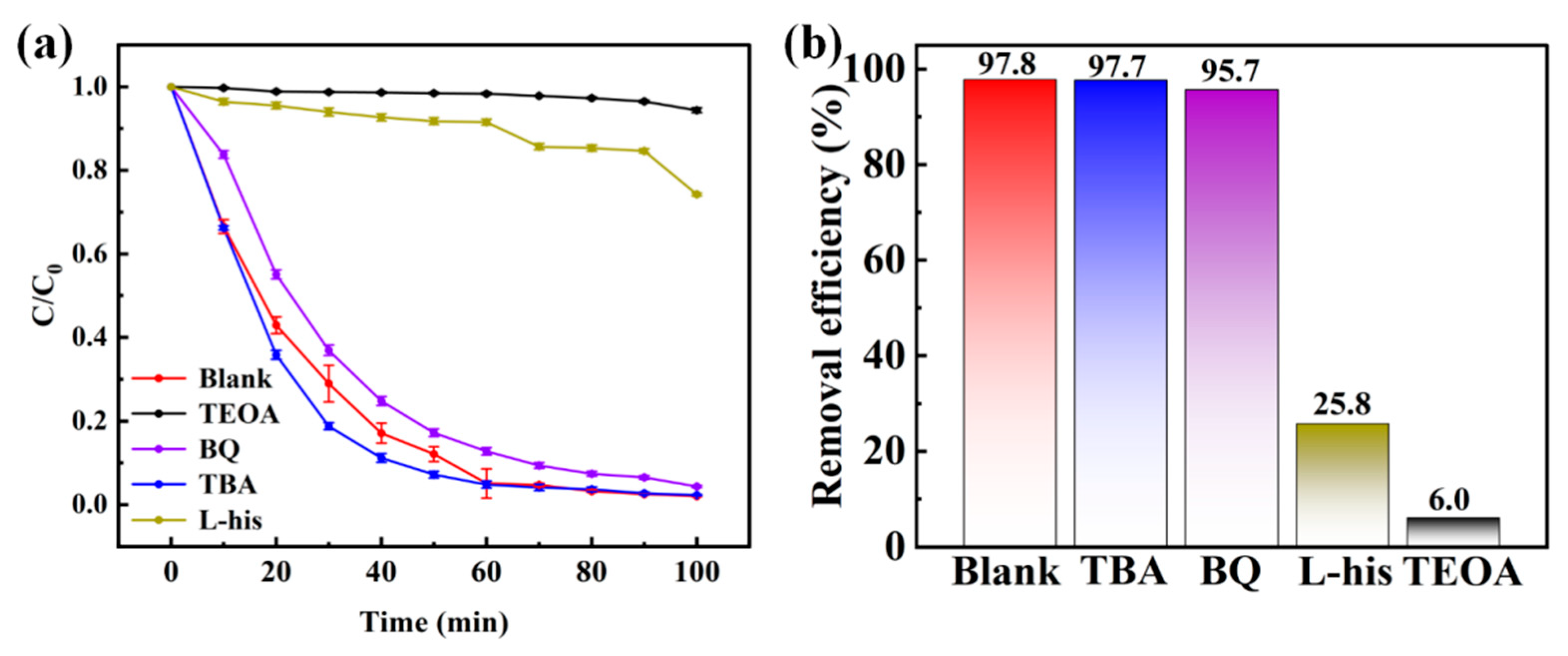 Catalysts 15 00714 g010
