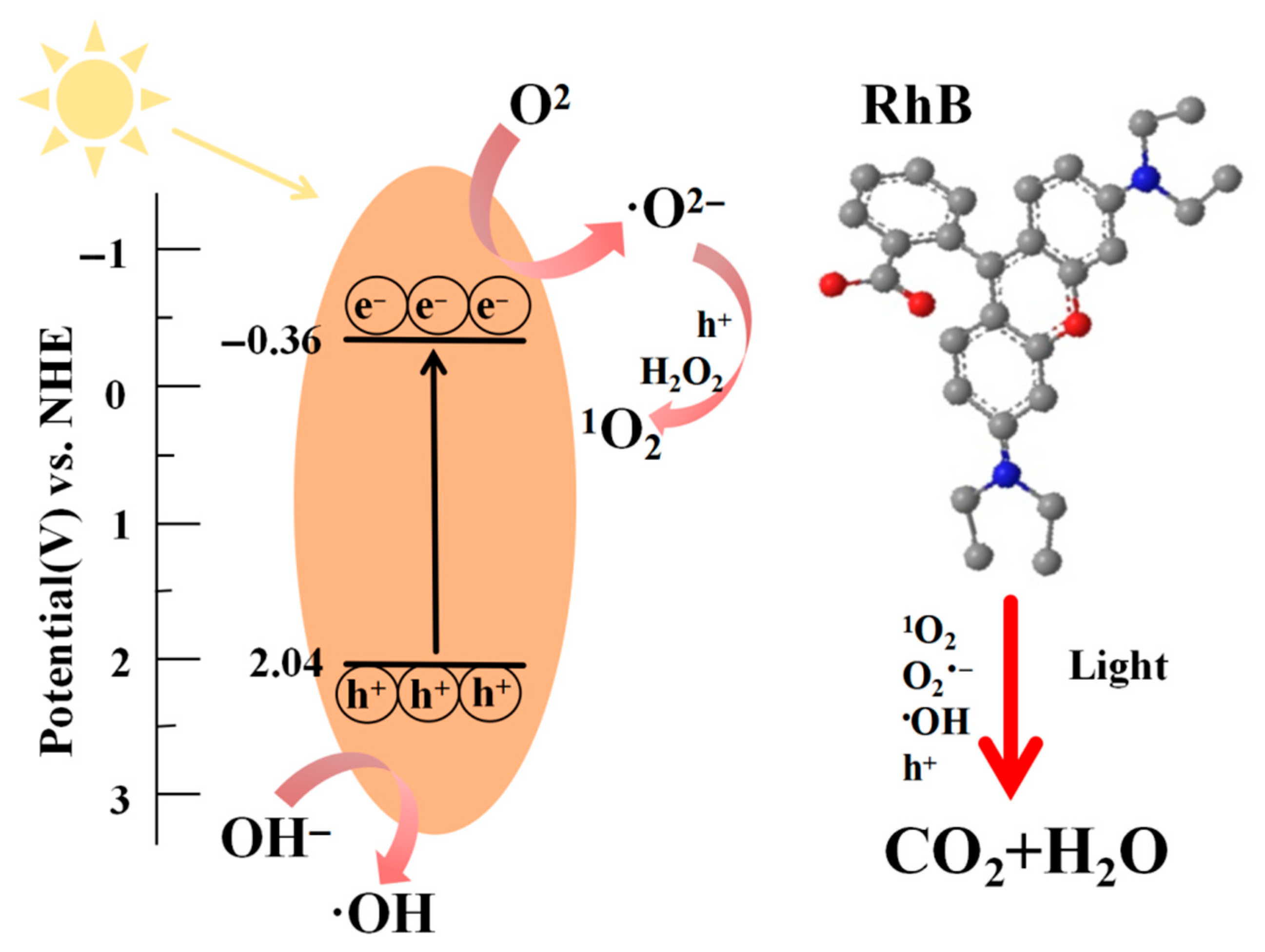 Catalysts 15 00714 g011