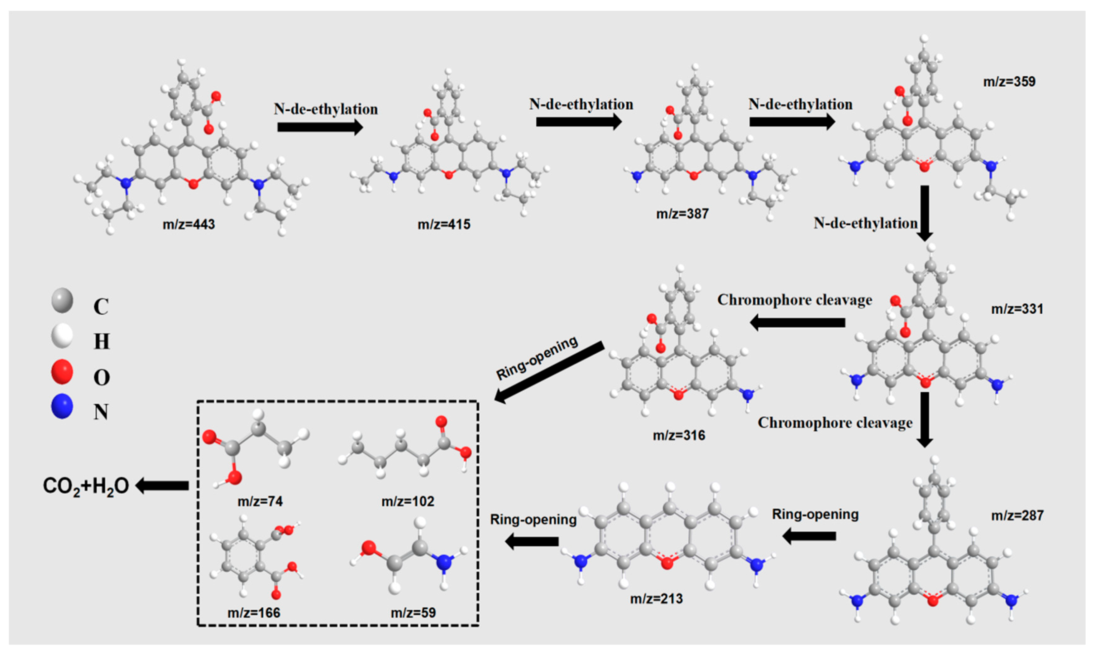 Catalysts 15 00714 g012