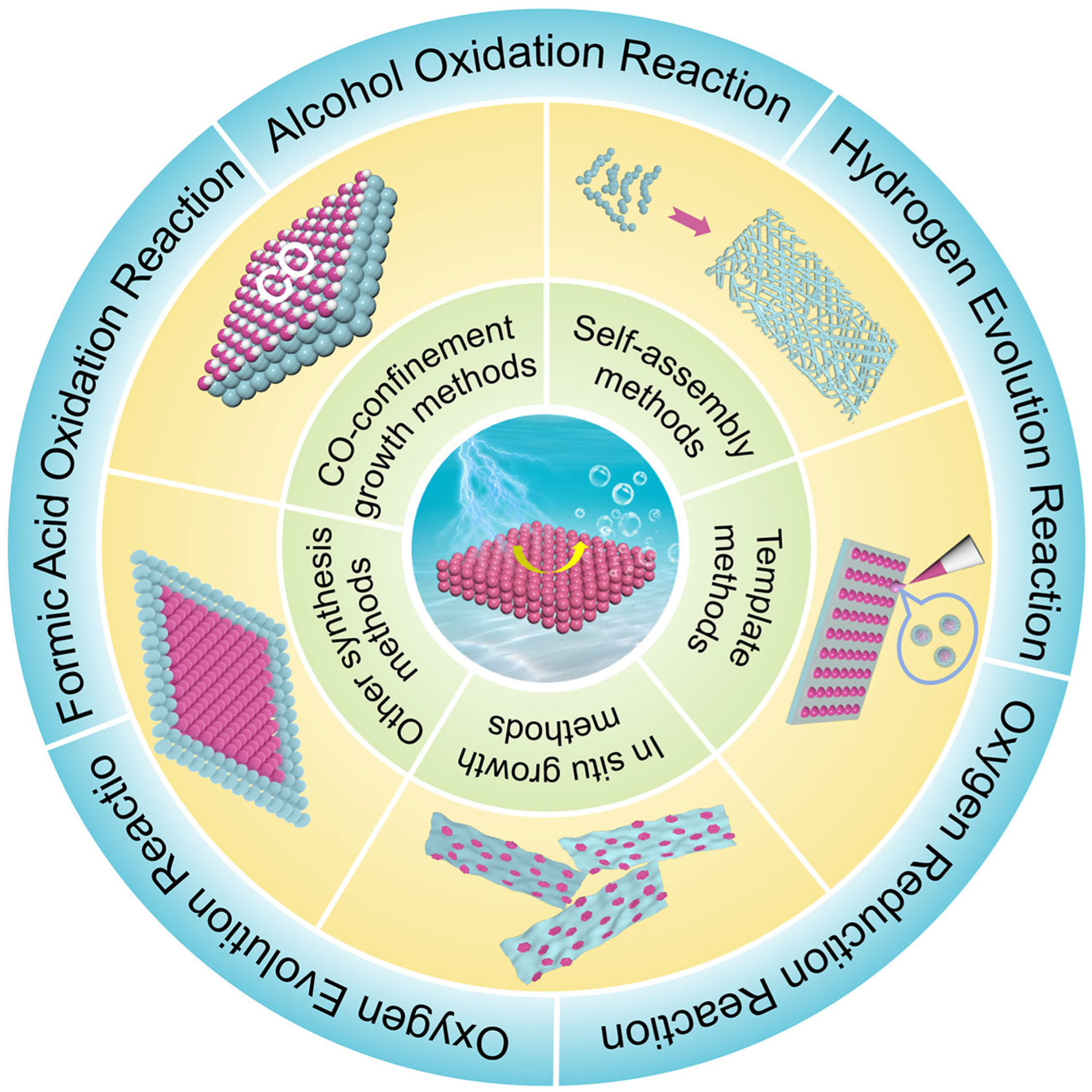 Catalysts 15 00716 g001