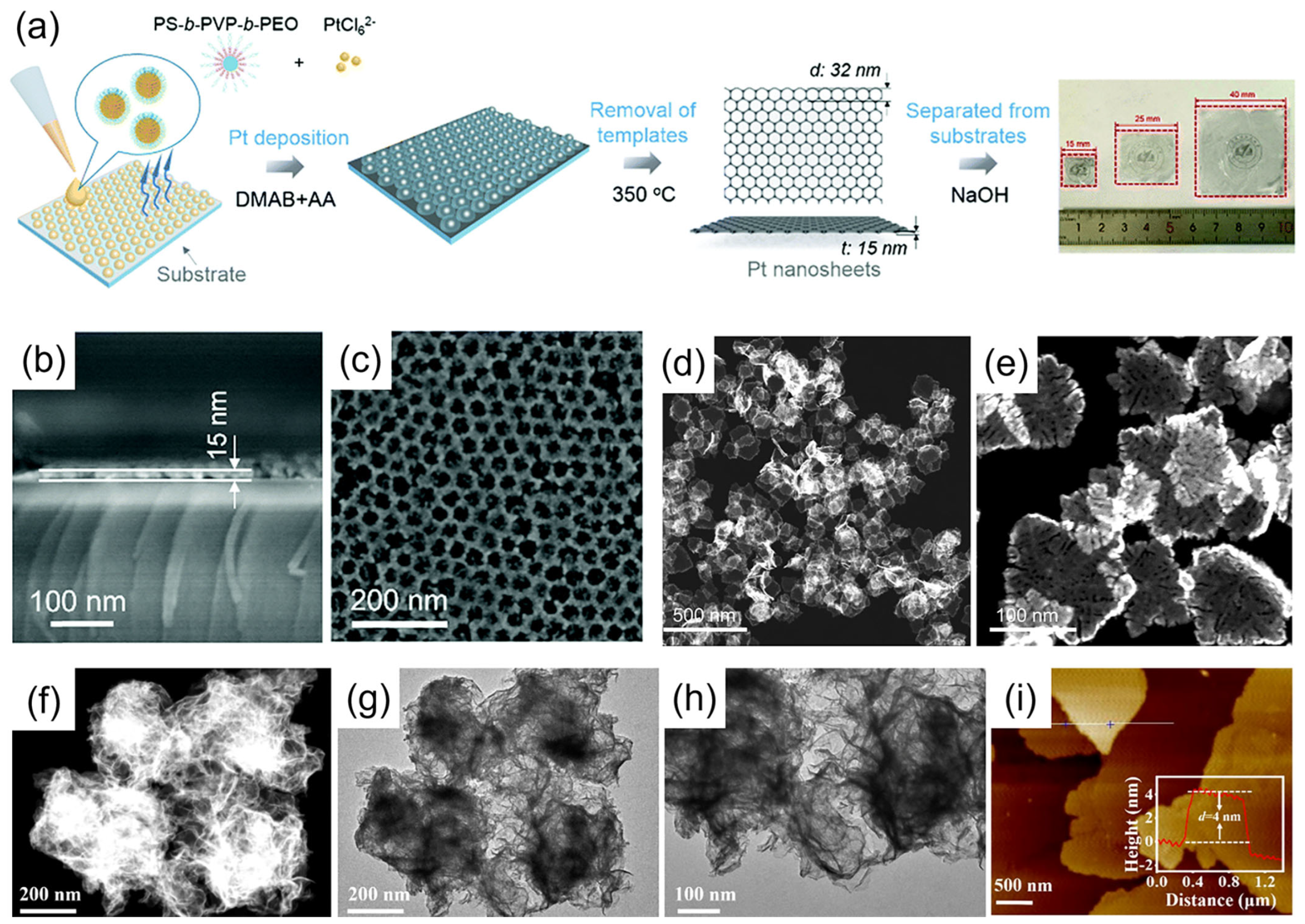 Catalysts 15 00716 g004