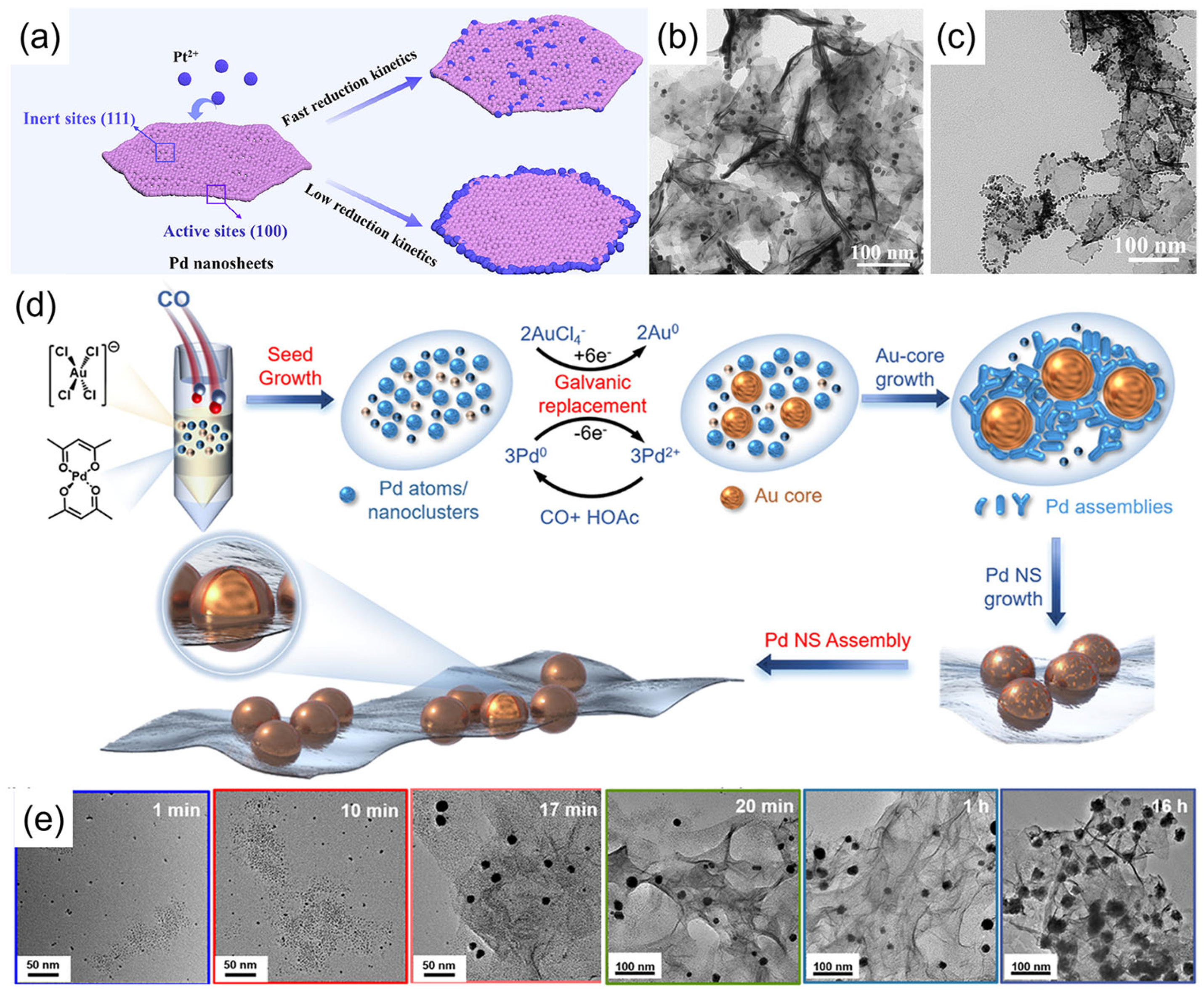Catalysts 15 00716 g006
