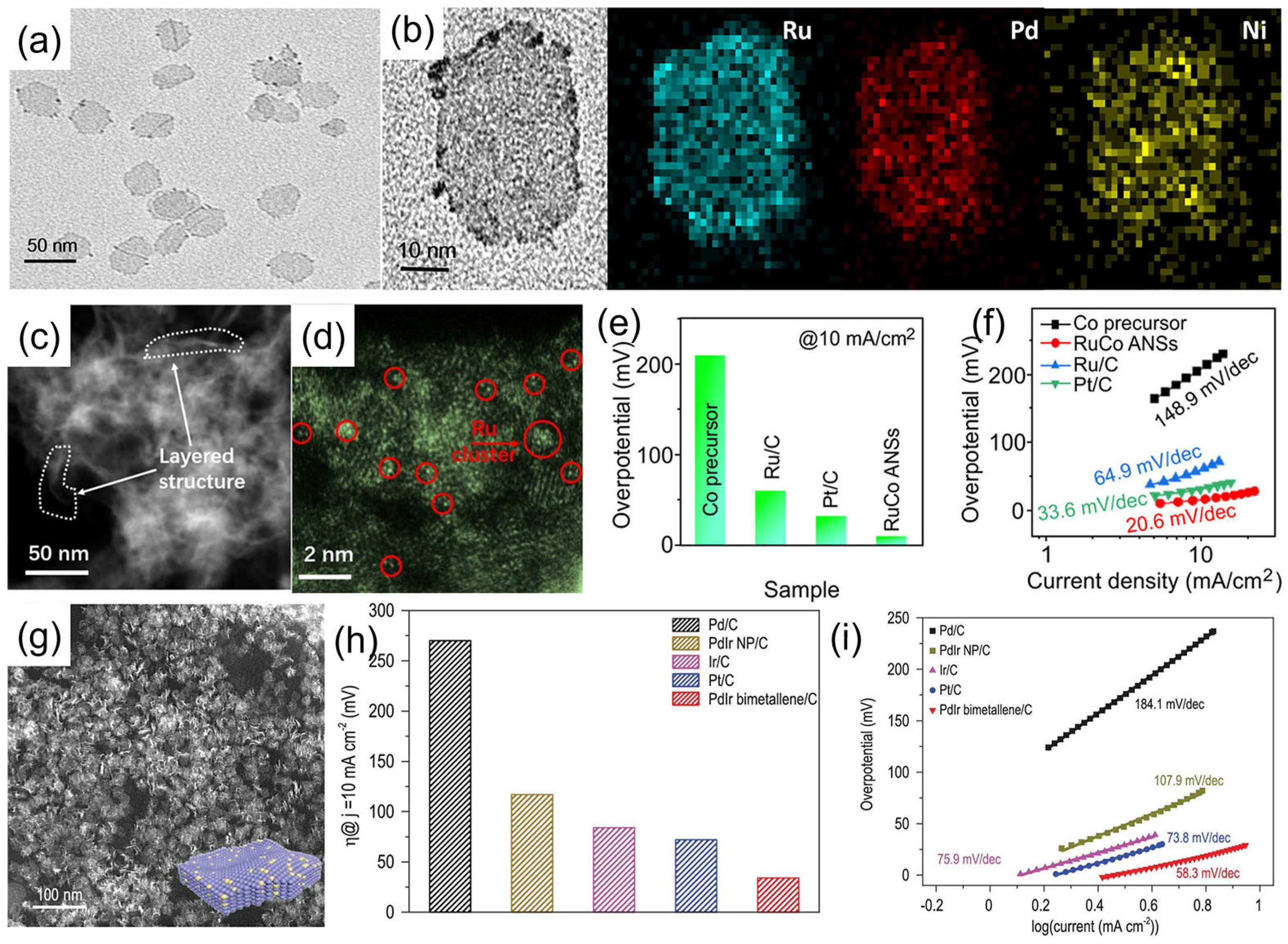 Catalysts 15 00716 g007