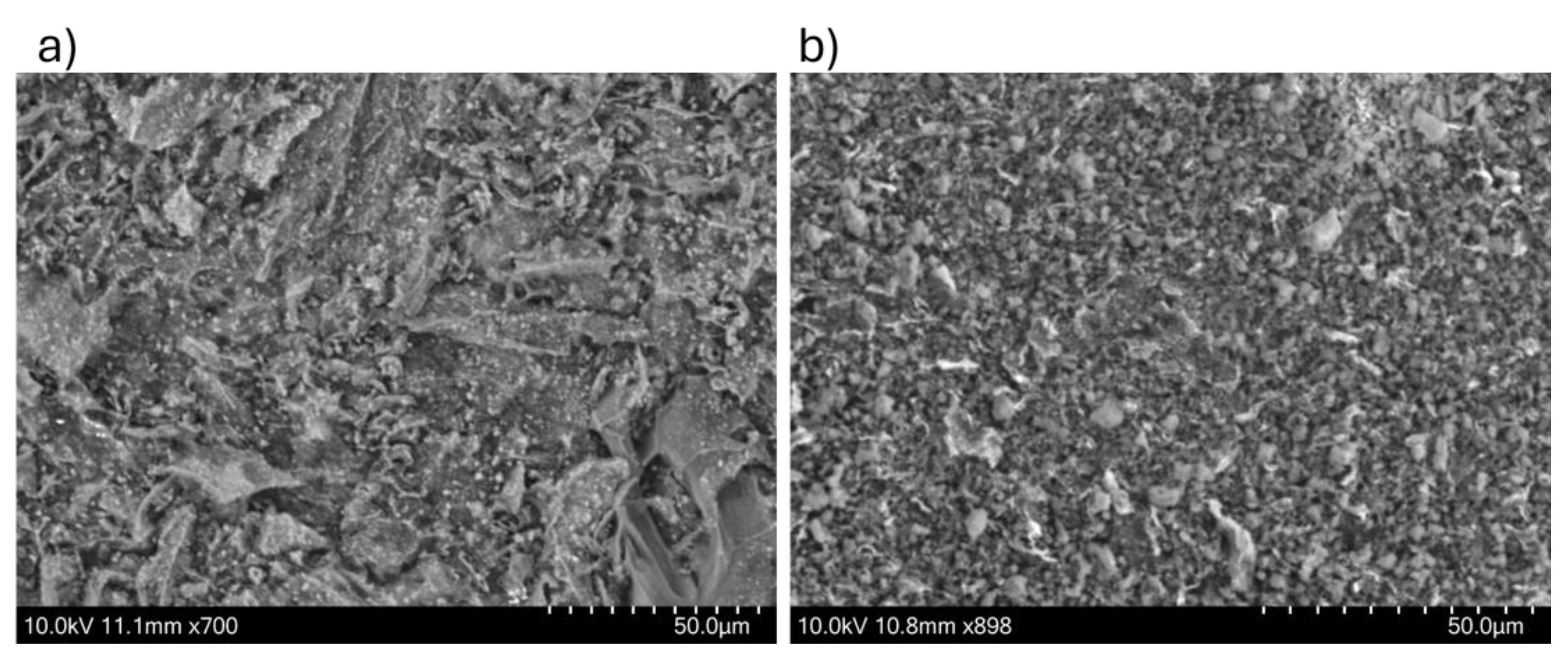 Catalysts 15 00719 g004
