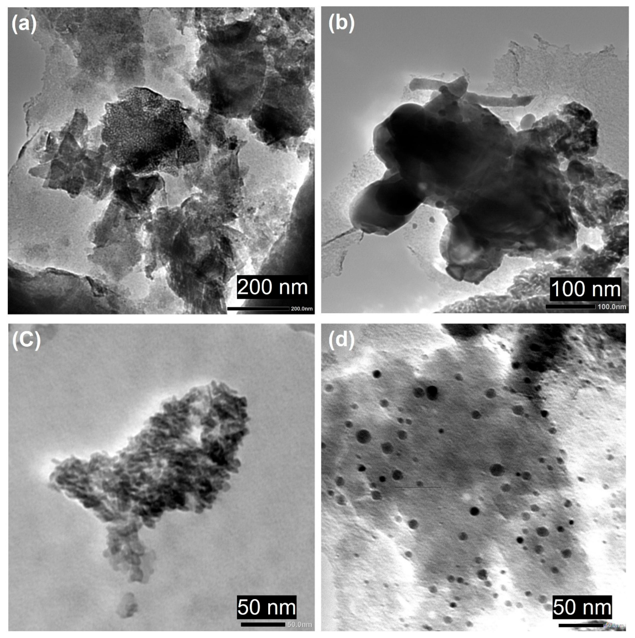 Catalysts 15 00721 g008