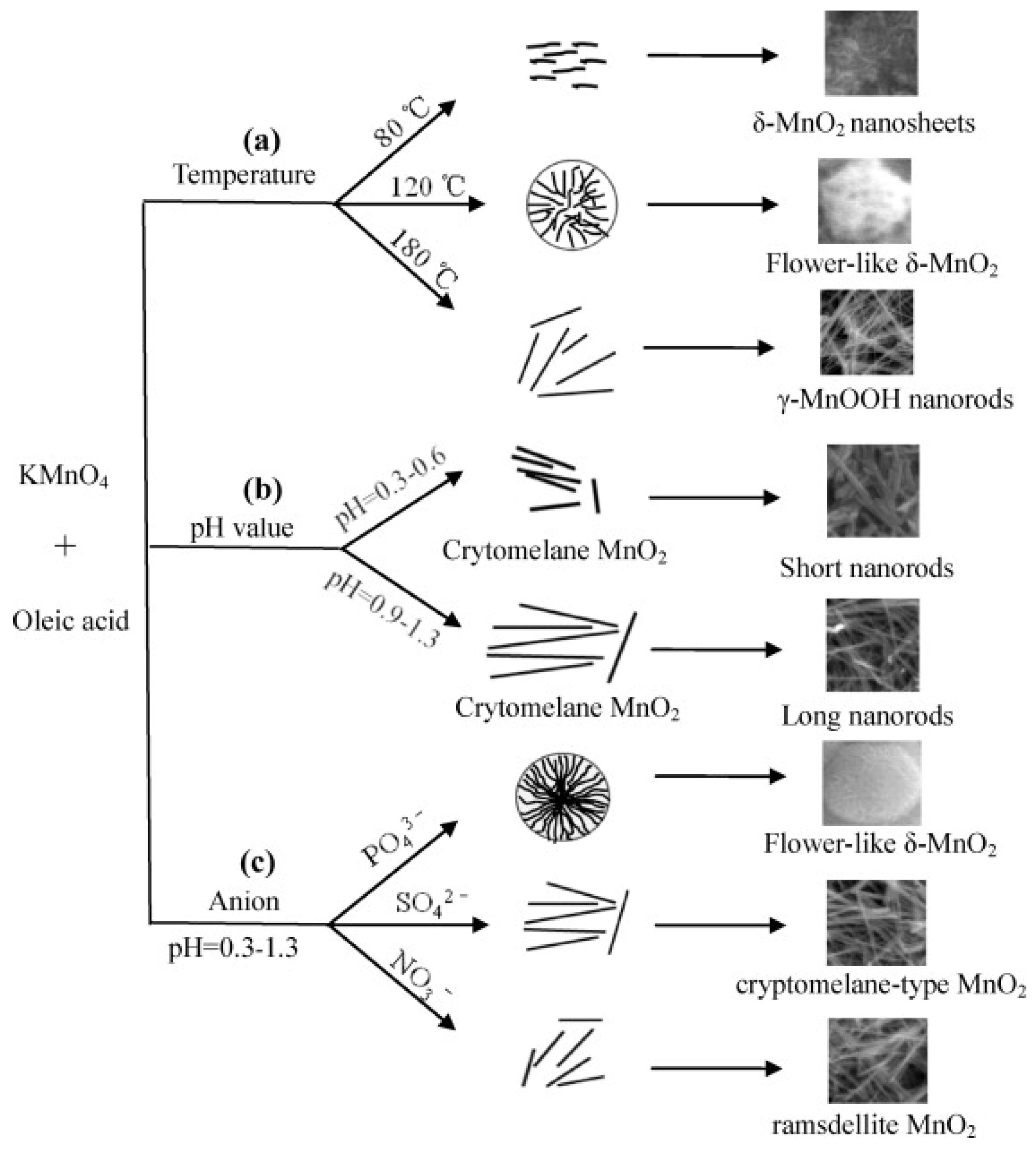 Catalysts 15 00723 g005