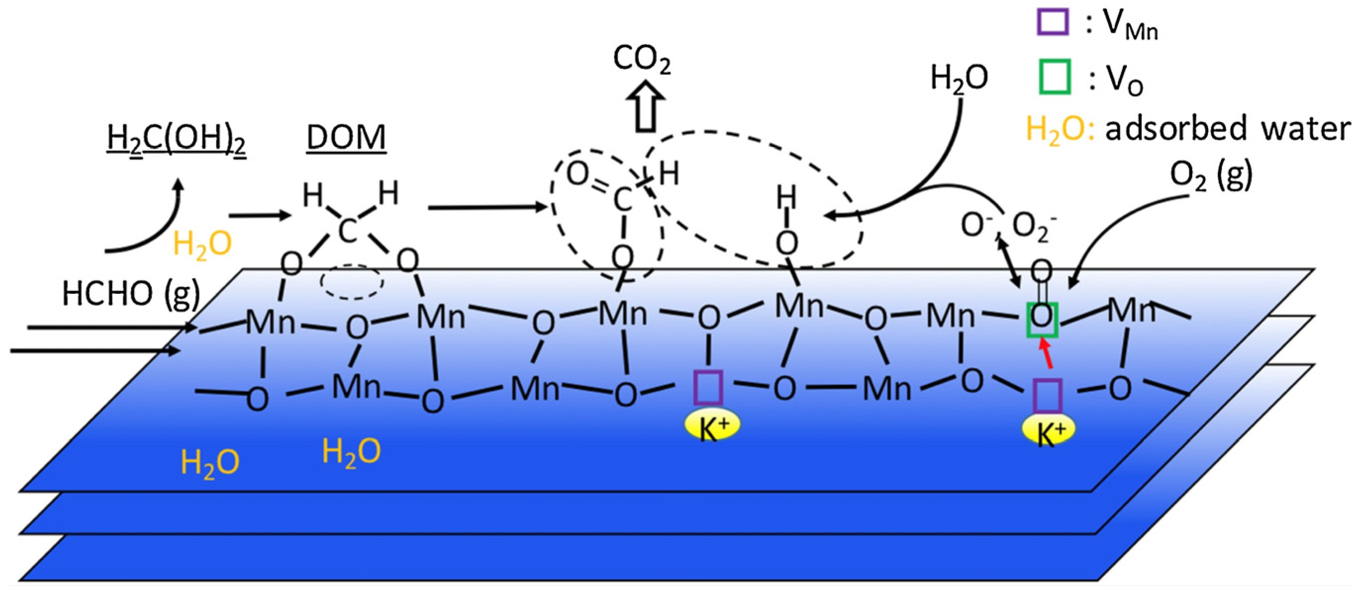 Catalysts 15 00723 g009