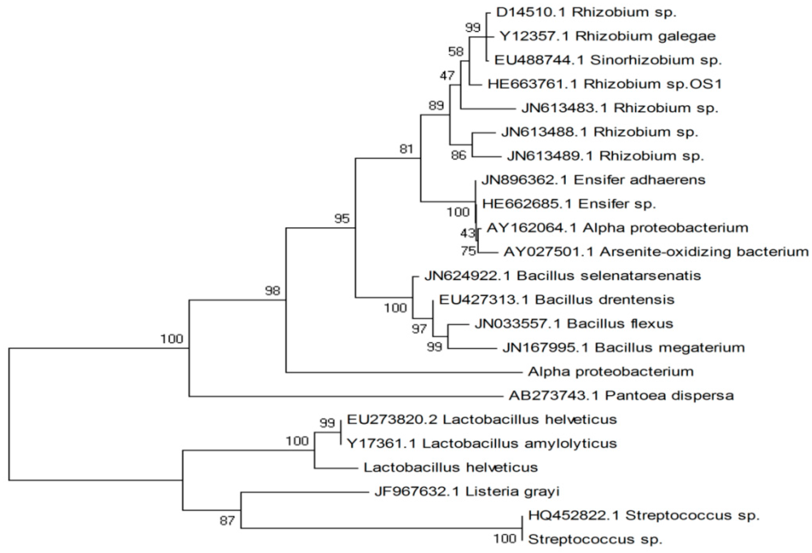 Catalysts 15 00726 g002
