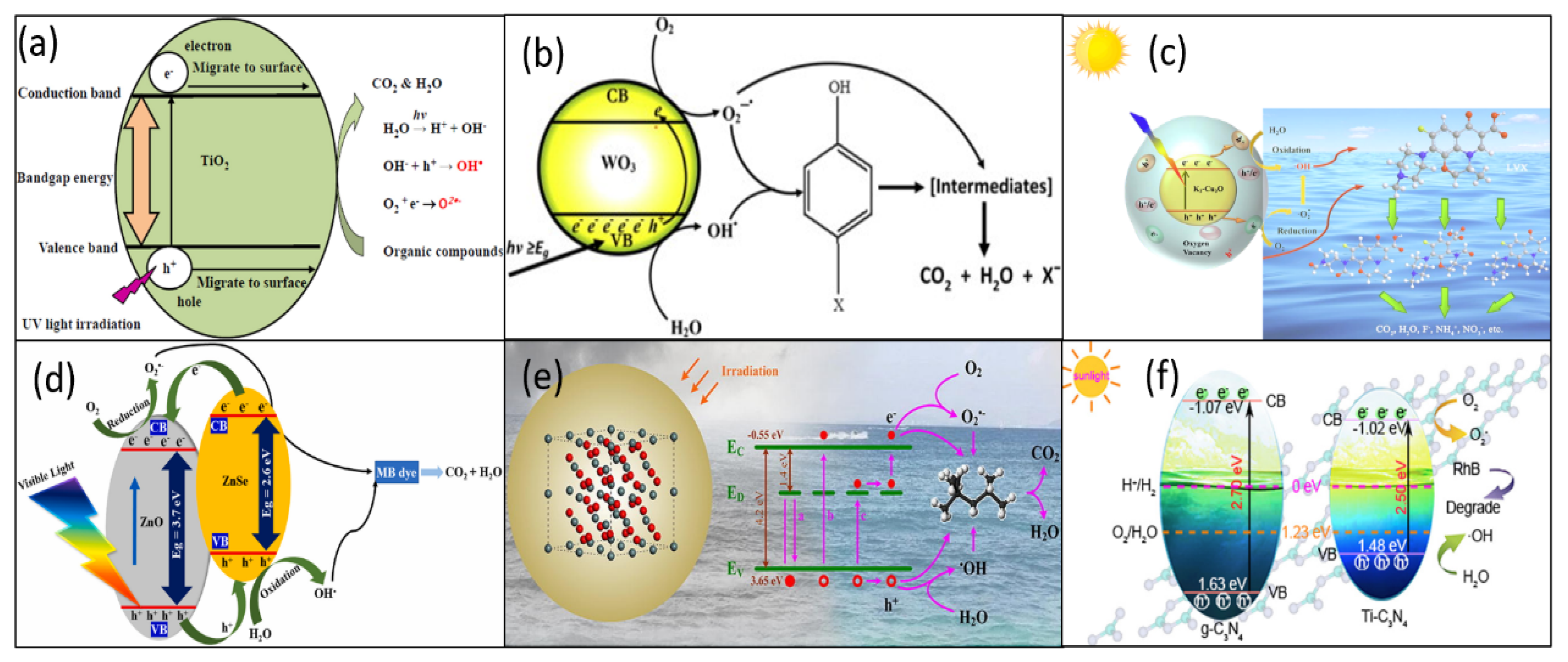 Catalysts 15 00730 g002