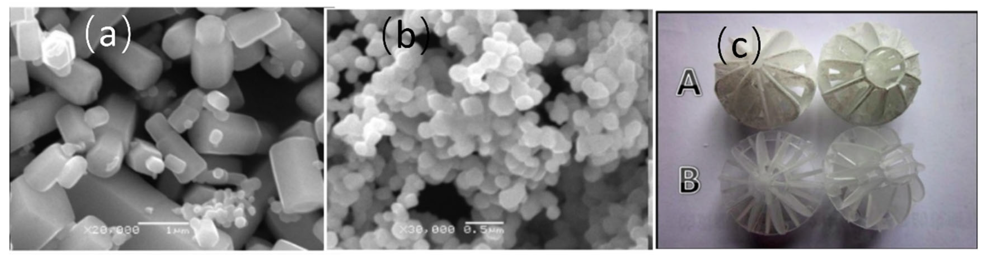 Catalysts 15 00730 g003