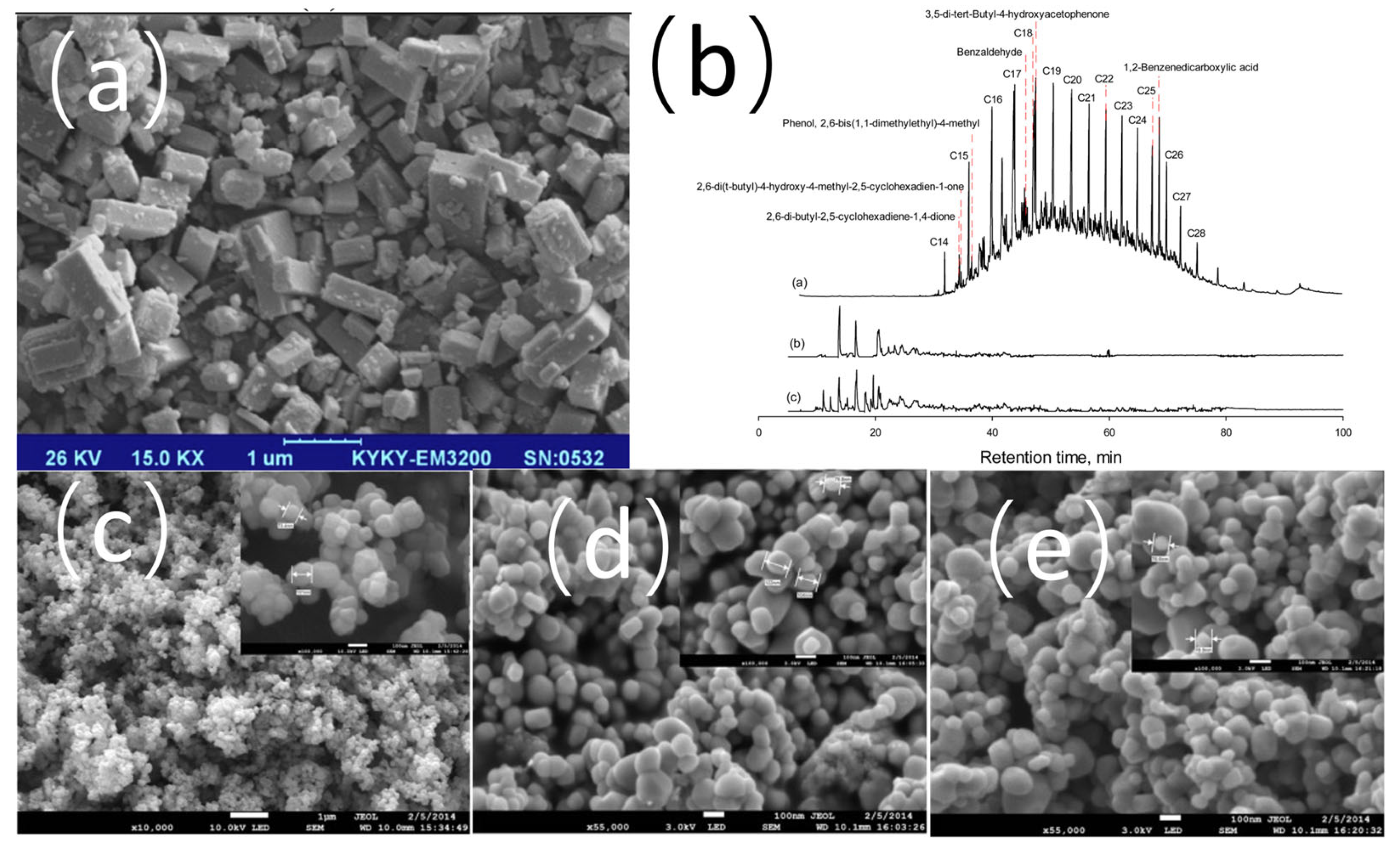 Catalysts 15 00730 g004