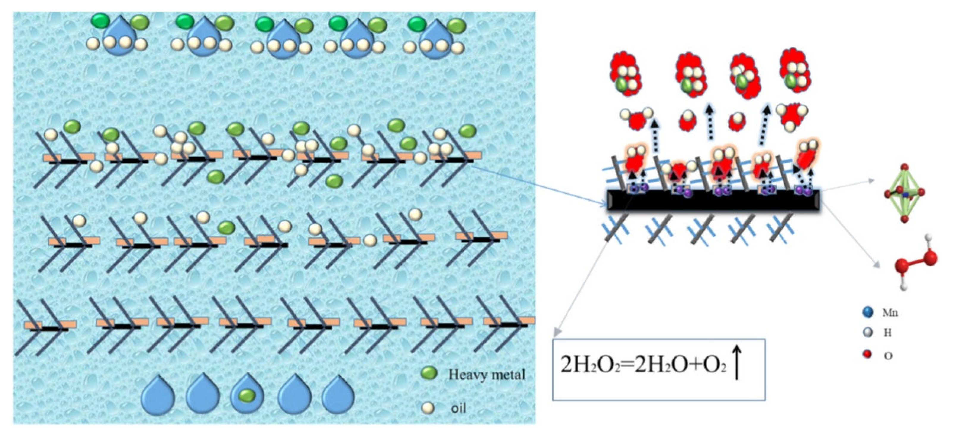 Catalysts 15 00730 g010
