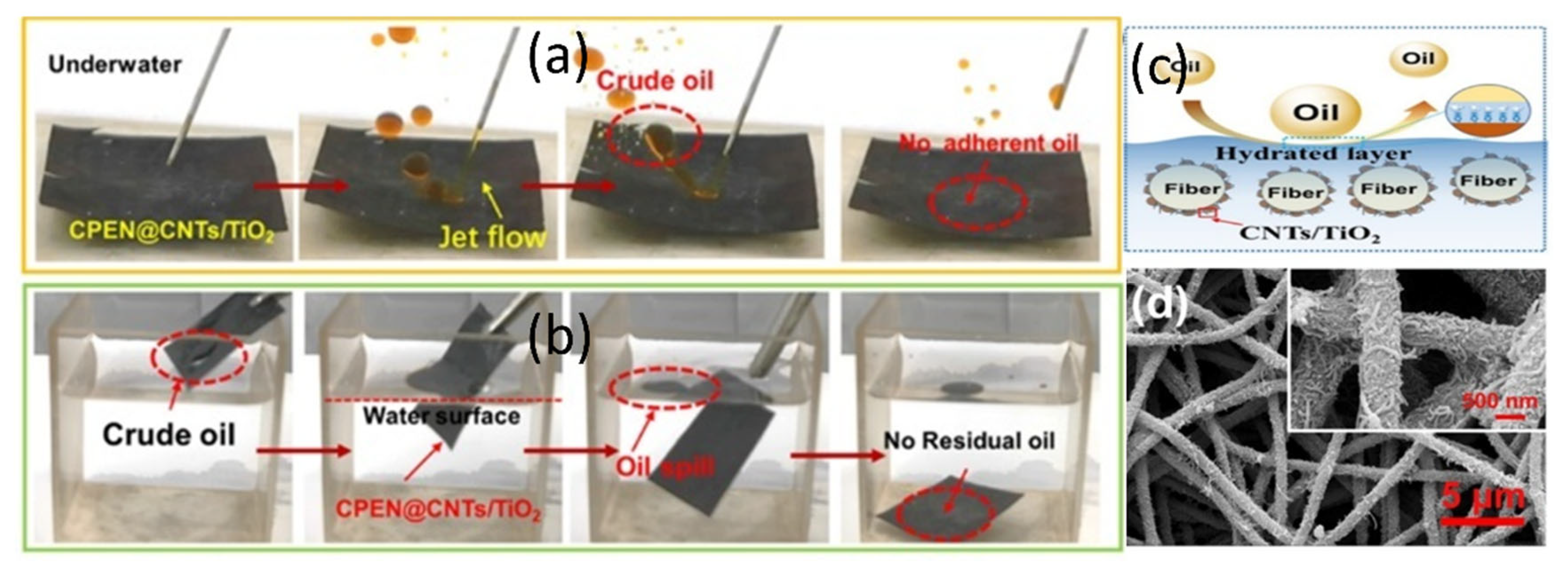 Catalysts 15 00730 g012