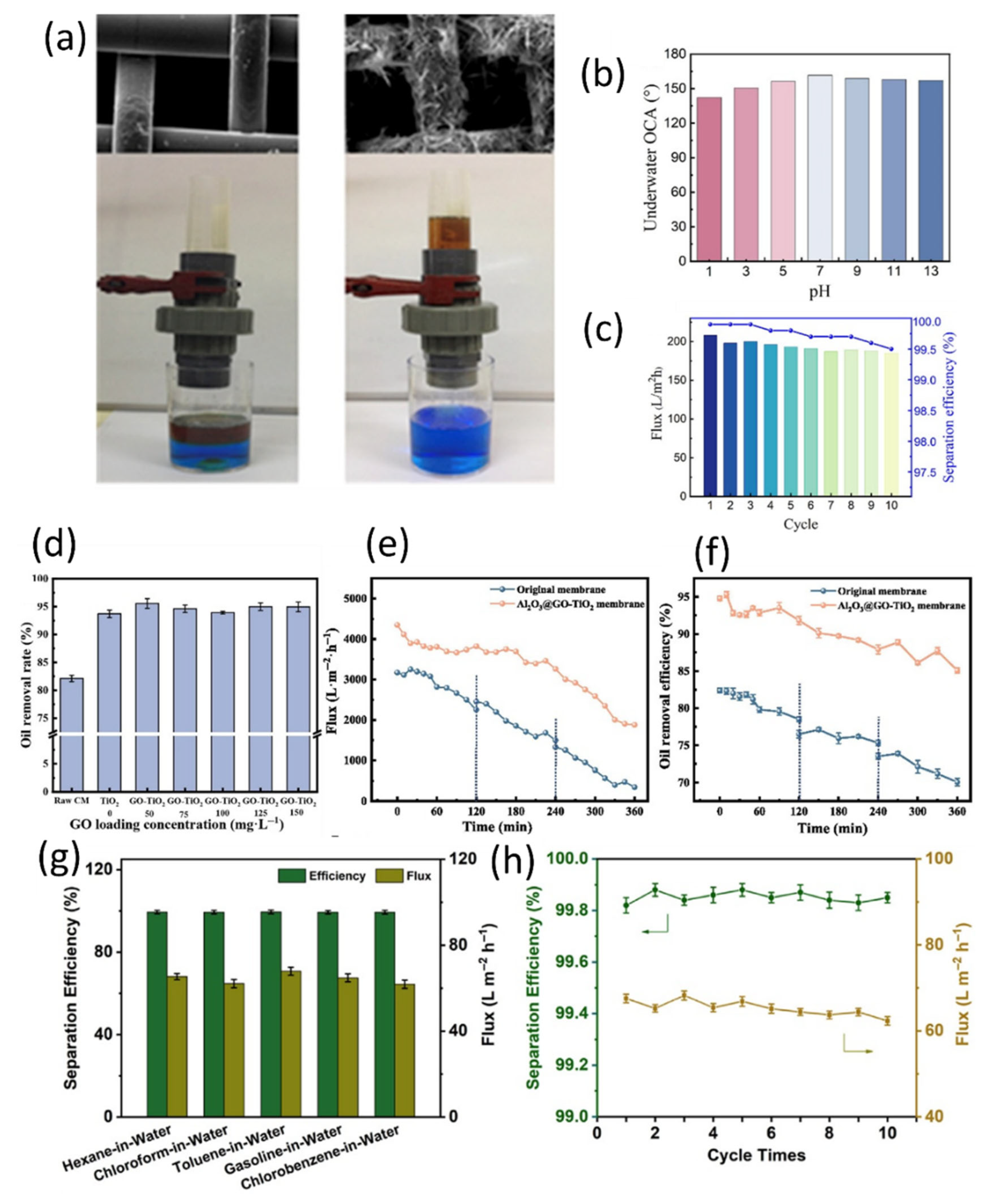 Catalysts 15 00730 g014