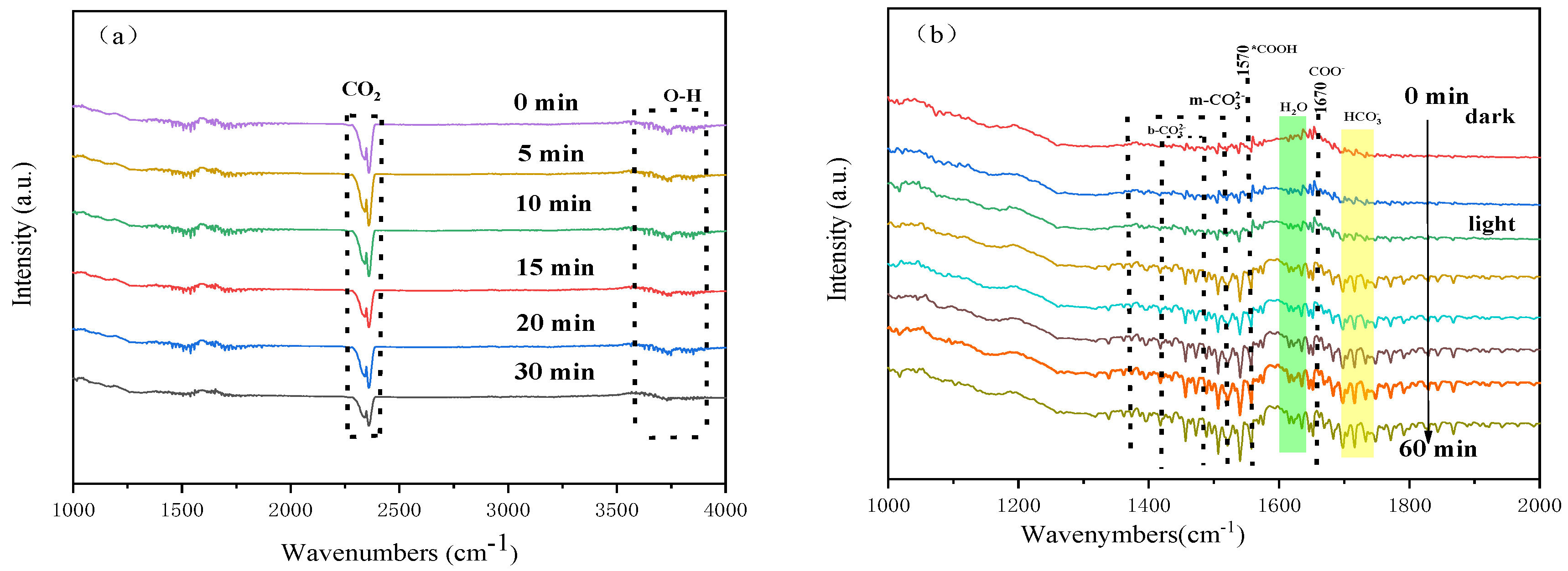 Catalysts 15 00732 g008