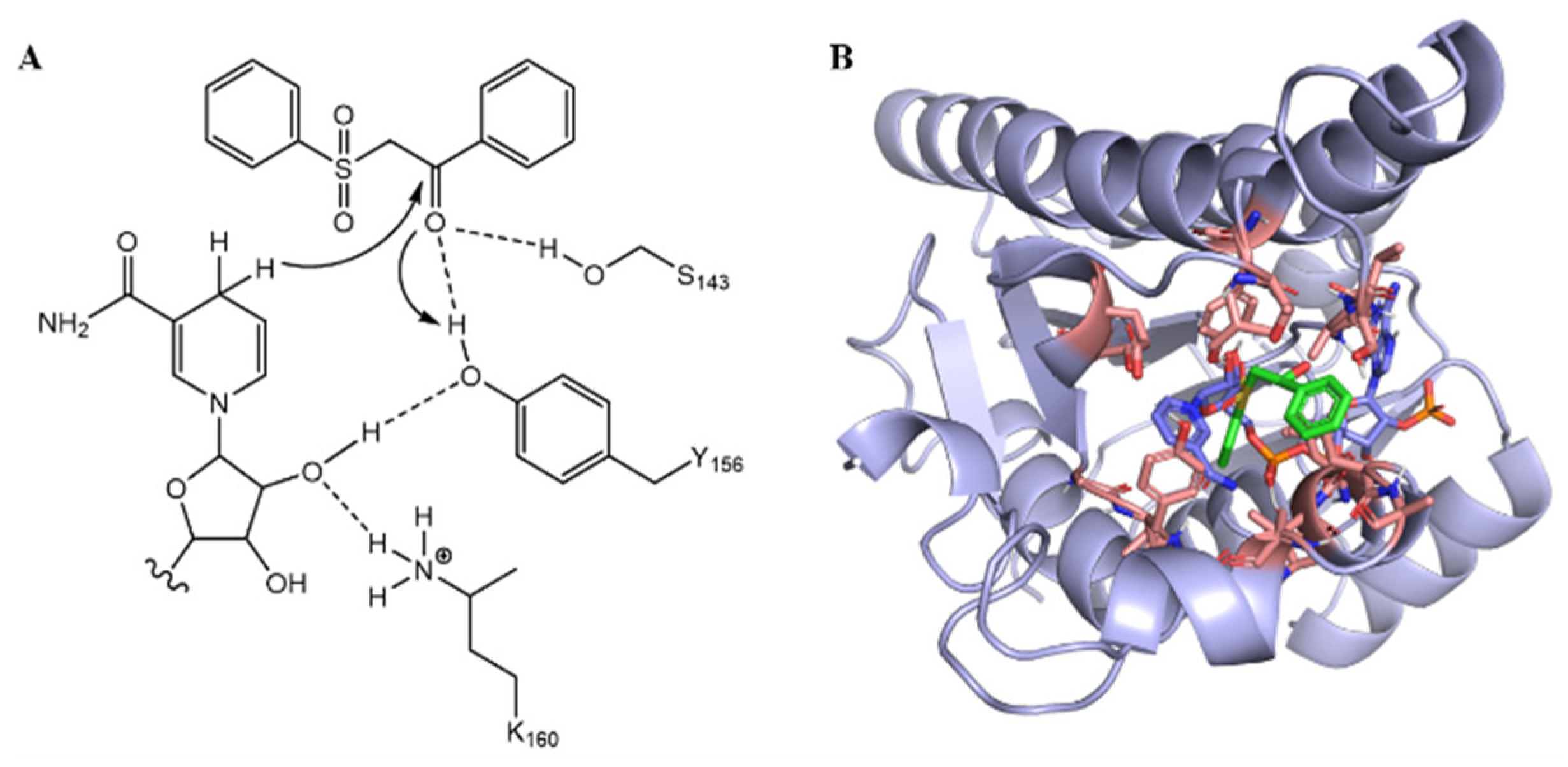 Catalysts 15 00733 g002