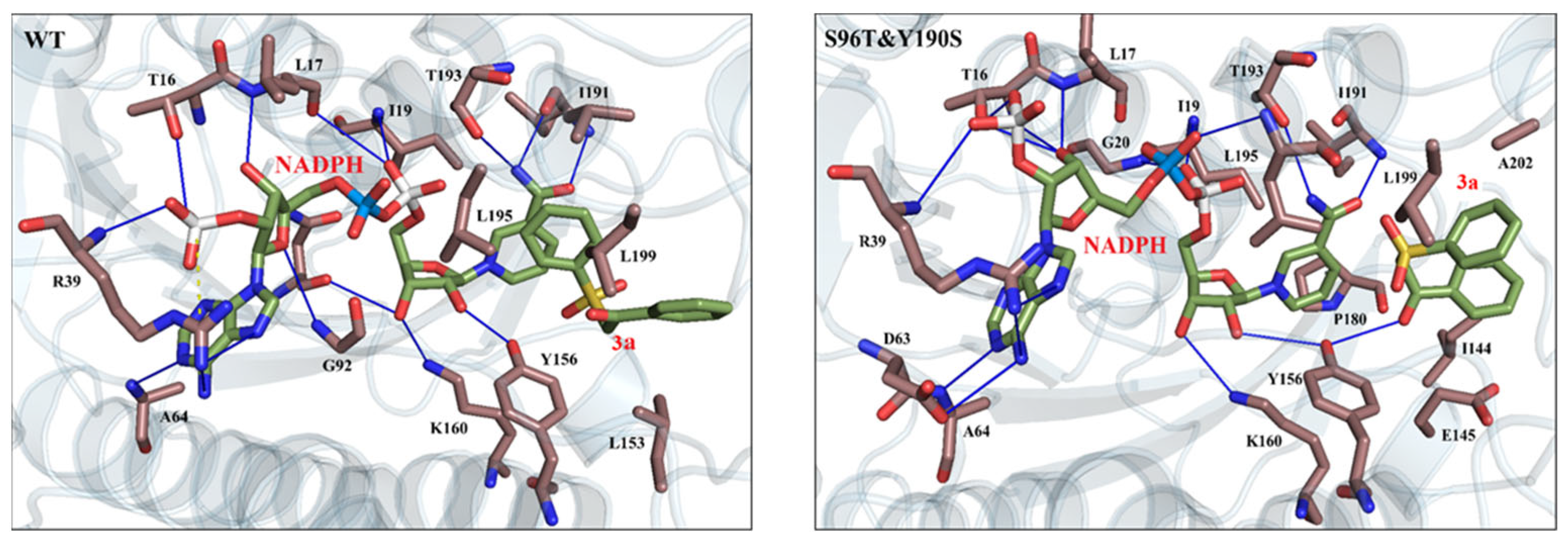 Catalysts 15 00733 g006