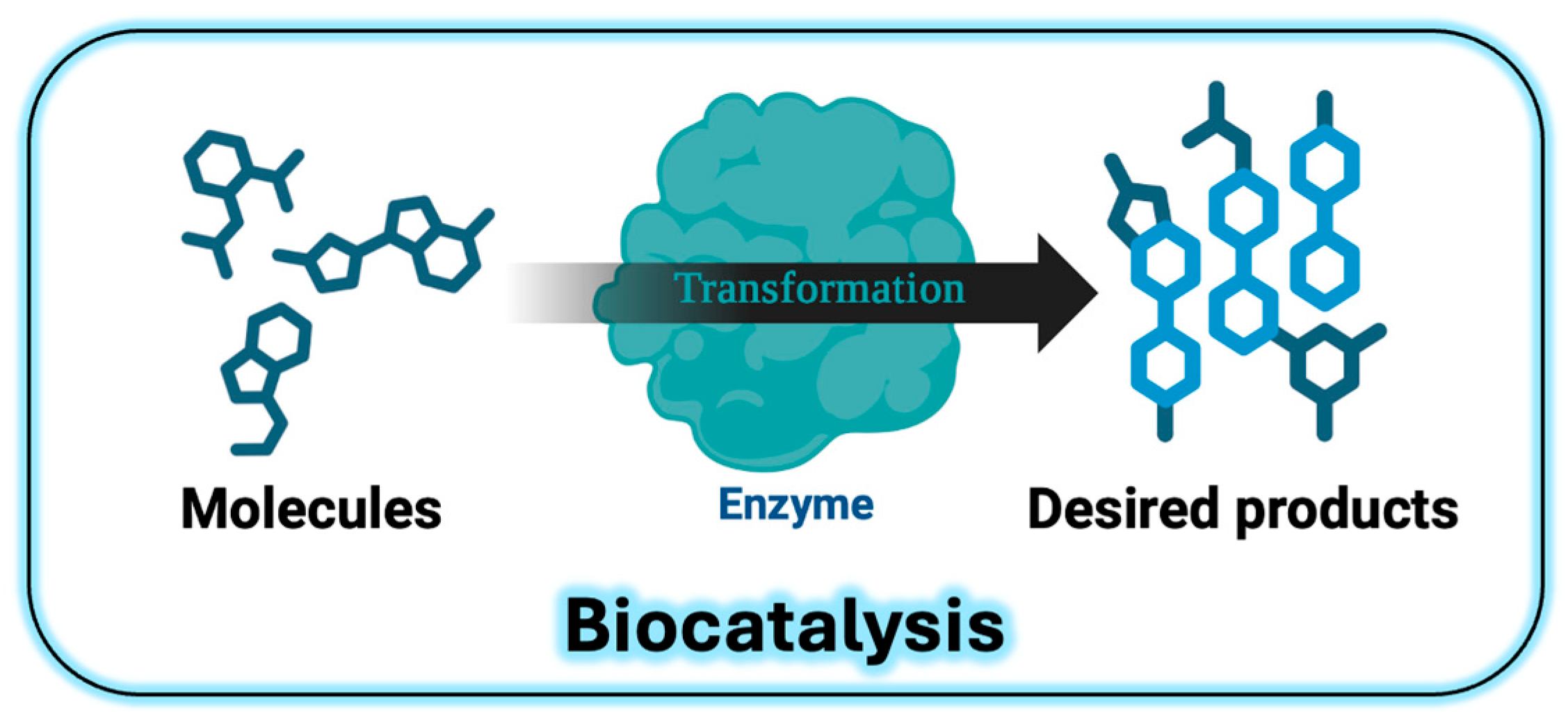 Catalysts 15 00736 g001