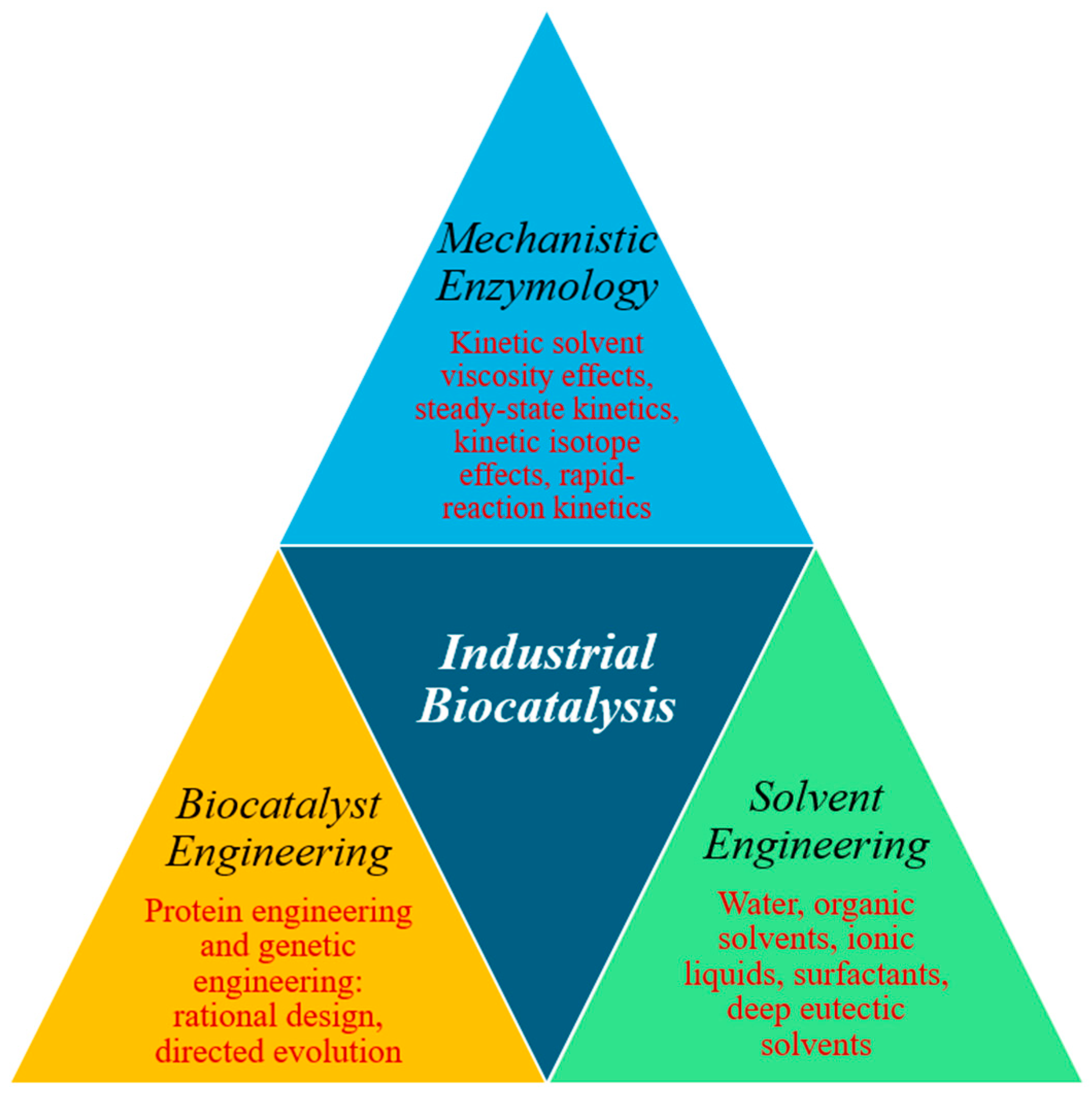 Catalysts 15 00736 g004