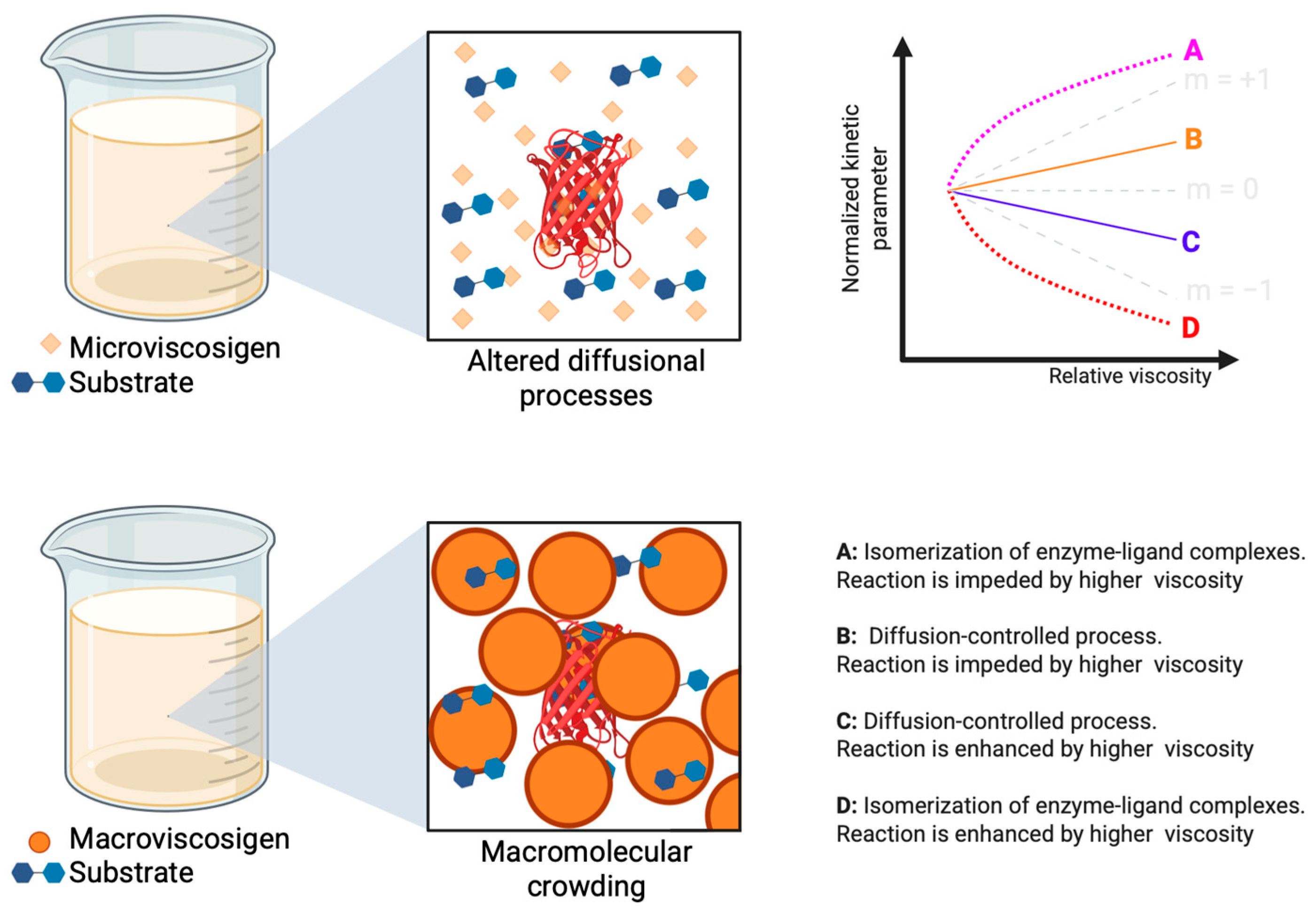 Catalysts 15 00736 g005