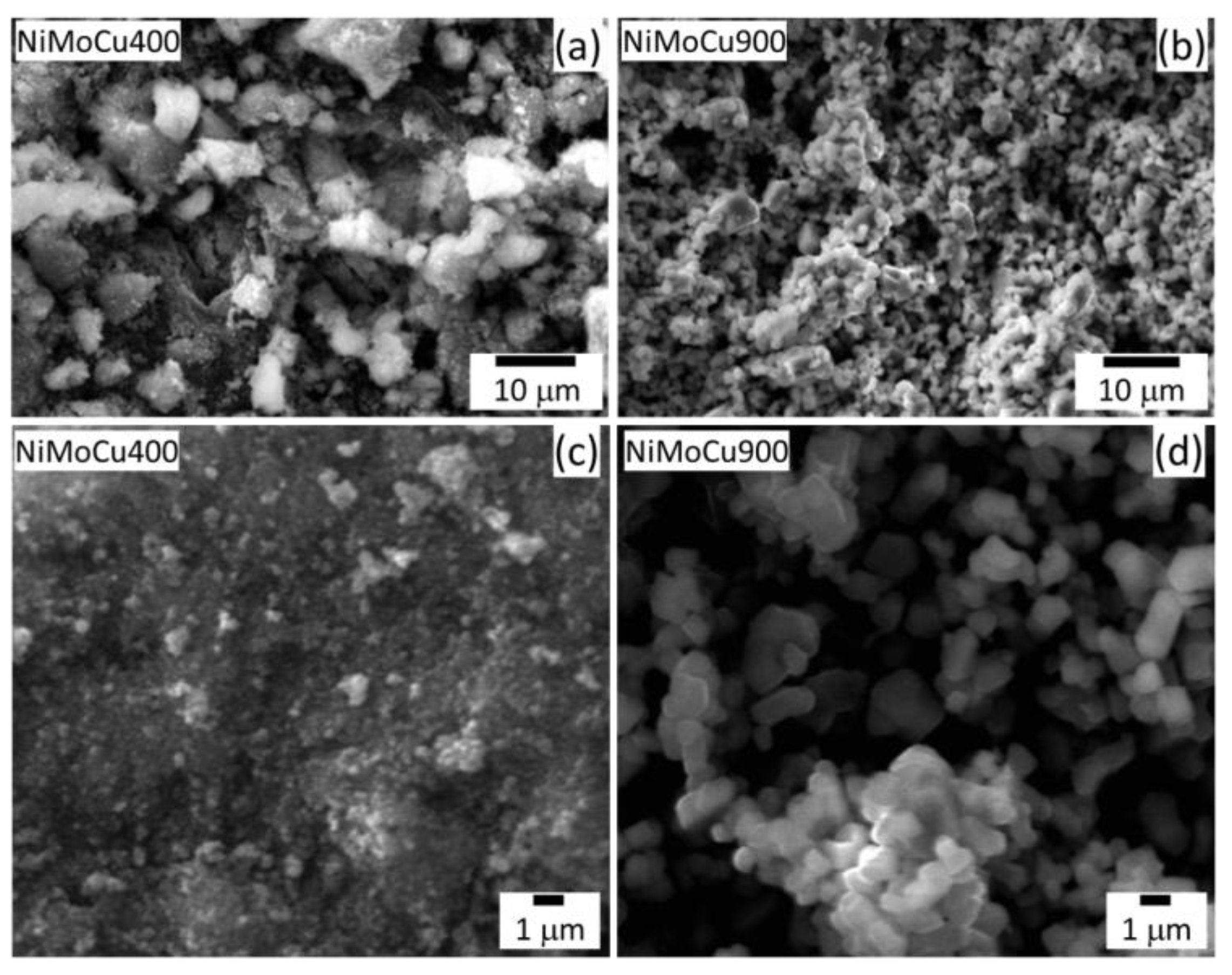 Catalysts 15 00737 g003