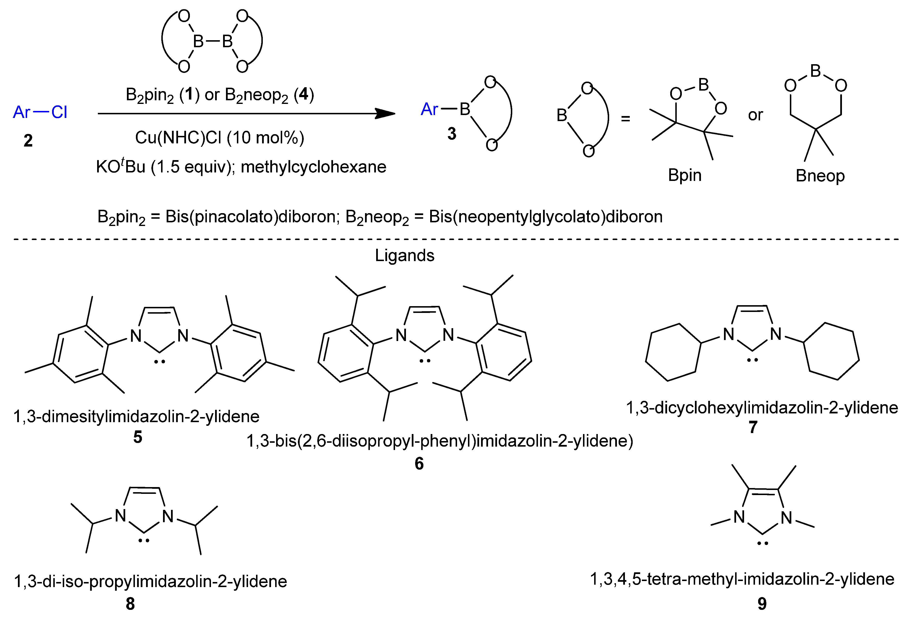 Catalysts 15 00738 sch001