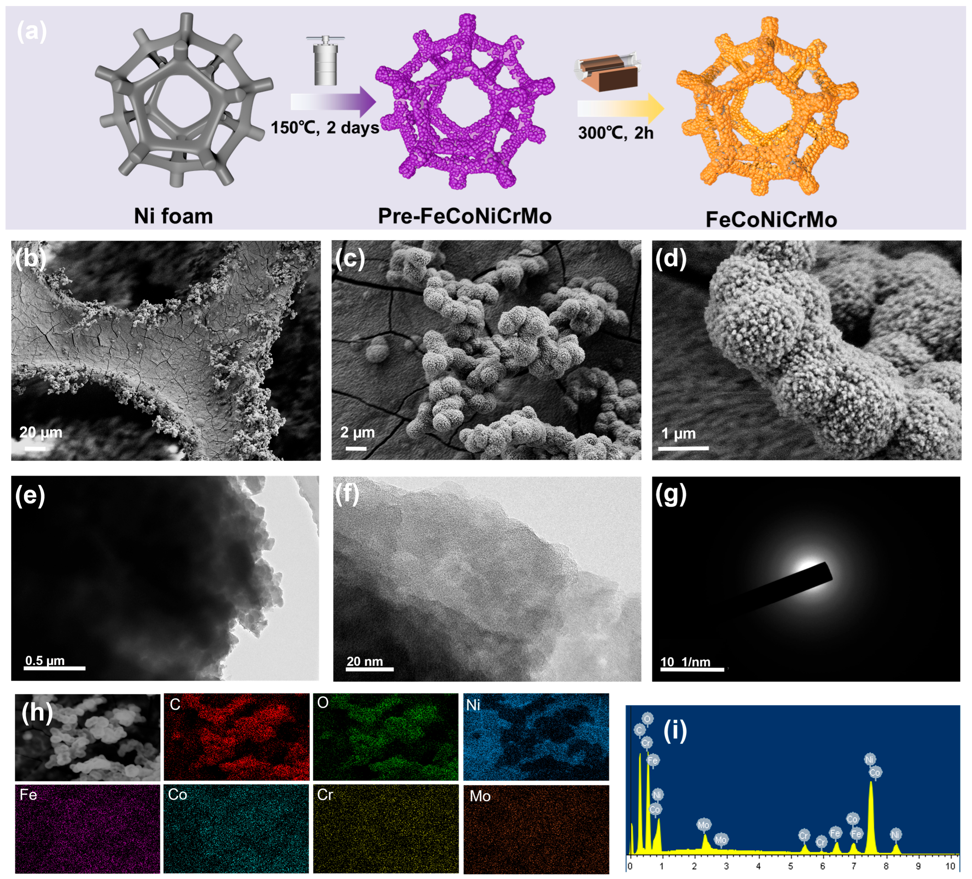 Catalysts 15 00744 g001 Catalysts 15 00744 g001