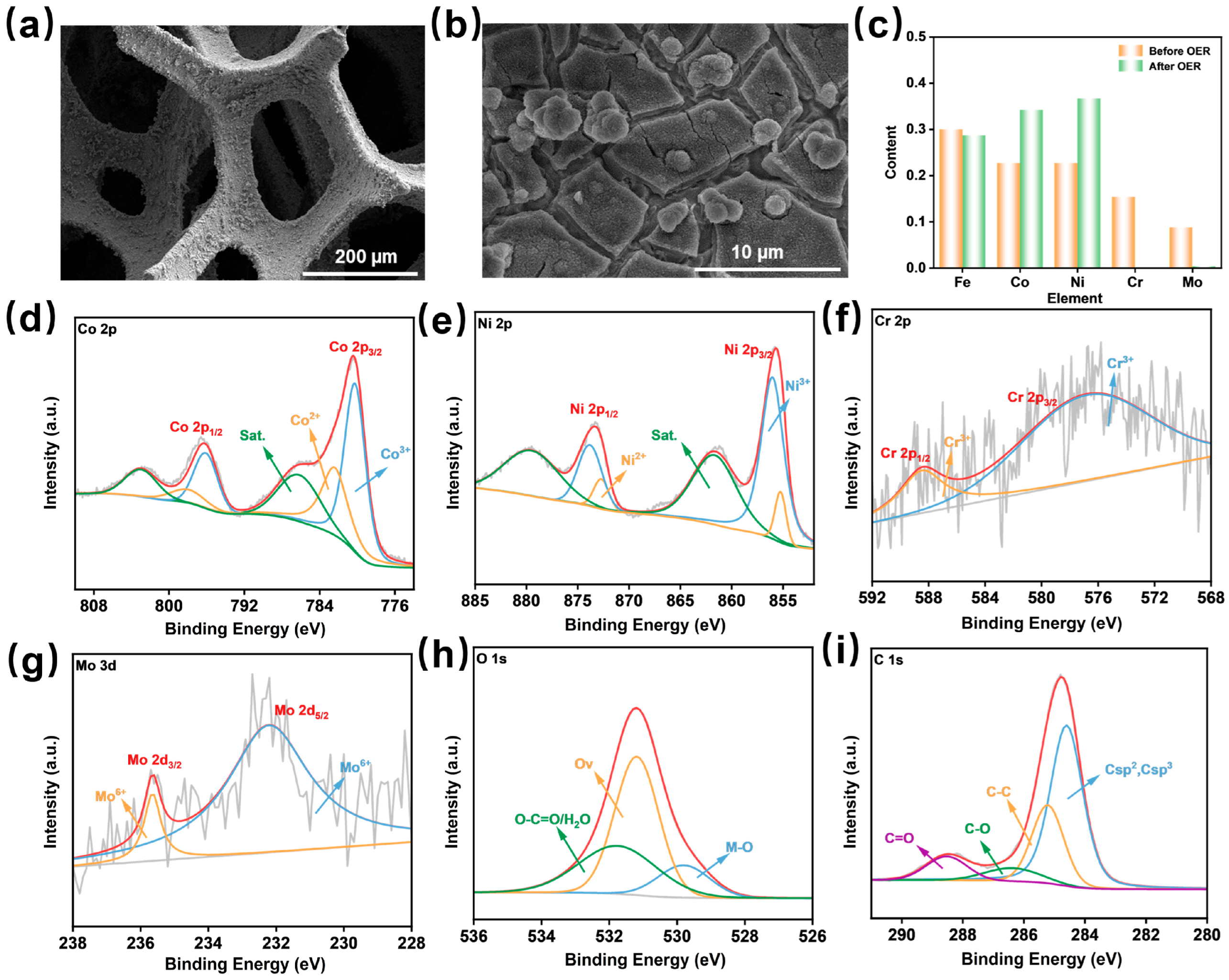 Catalysts 15 00744 g004 Catalysts 15 00744 g004