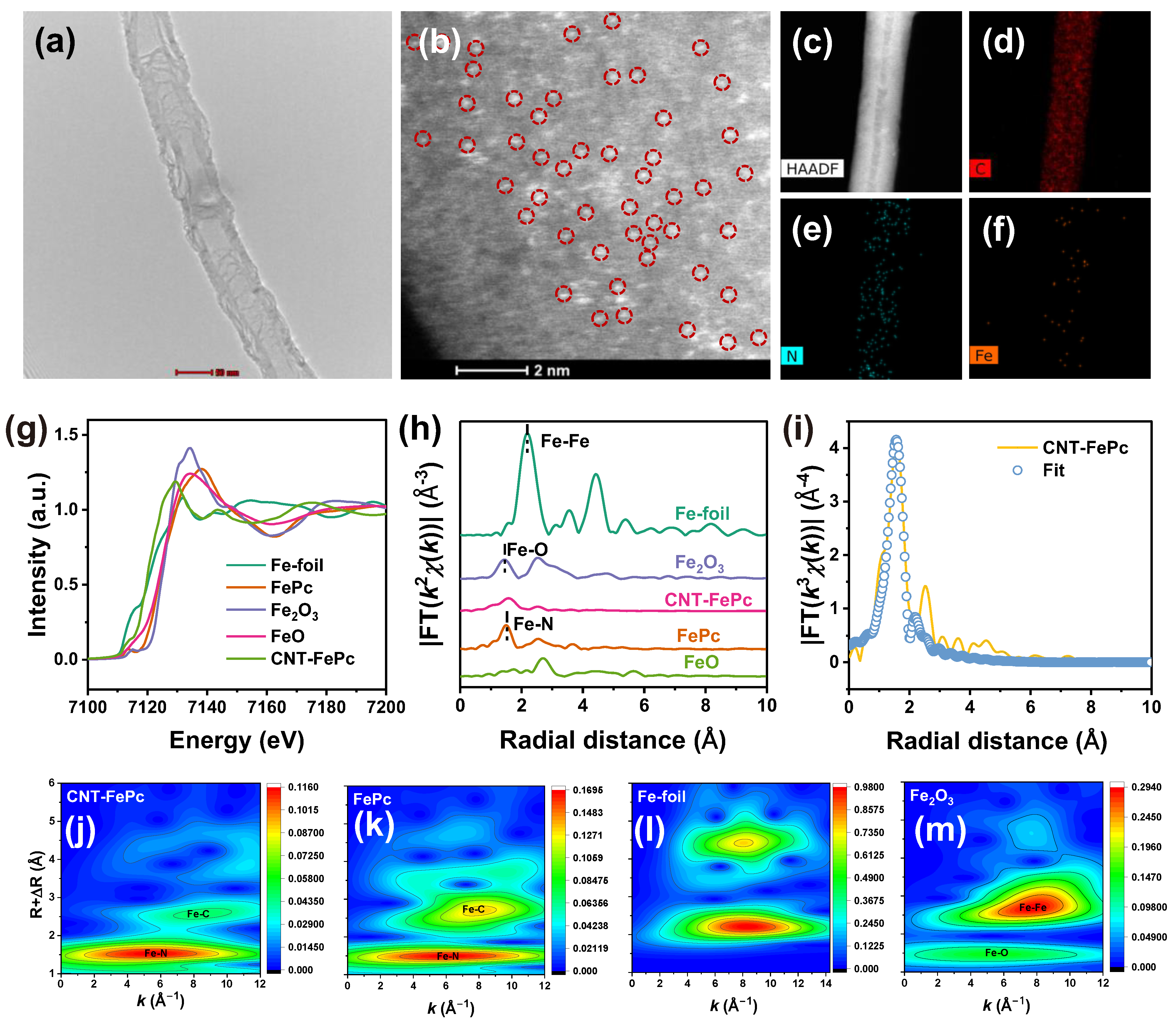 Catalysts 15 00747 g001 Catalysts 15 00747 g001