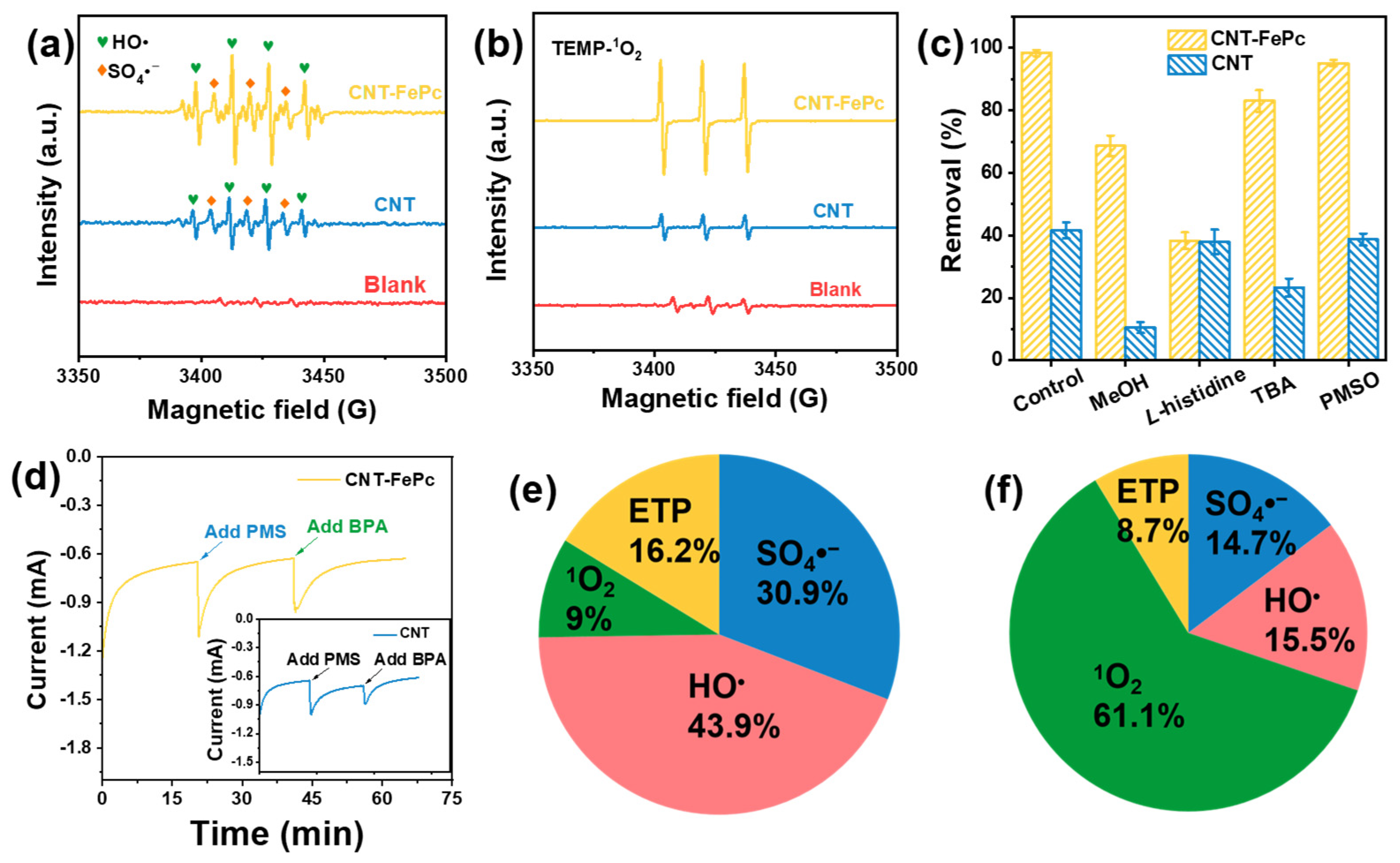Catalysts 15 00747 g003 Catalysts 15 00747 g003