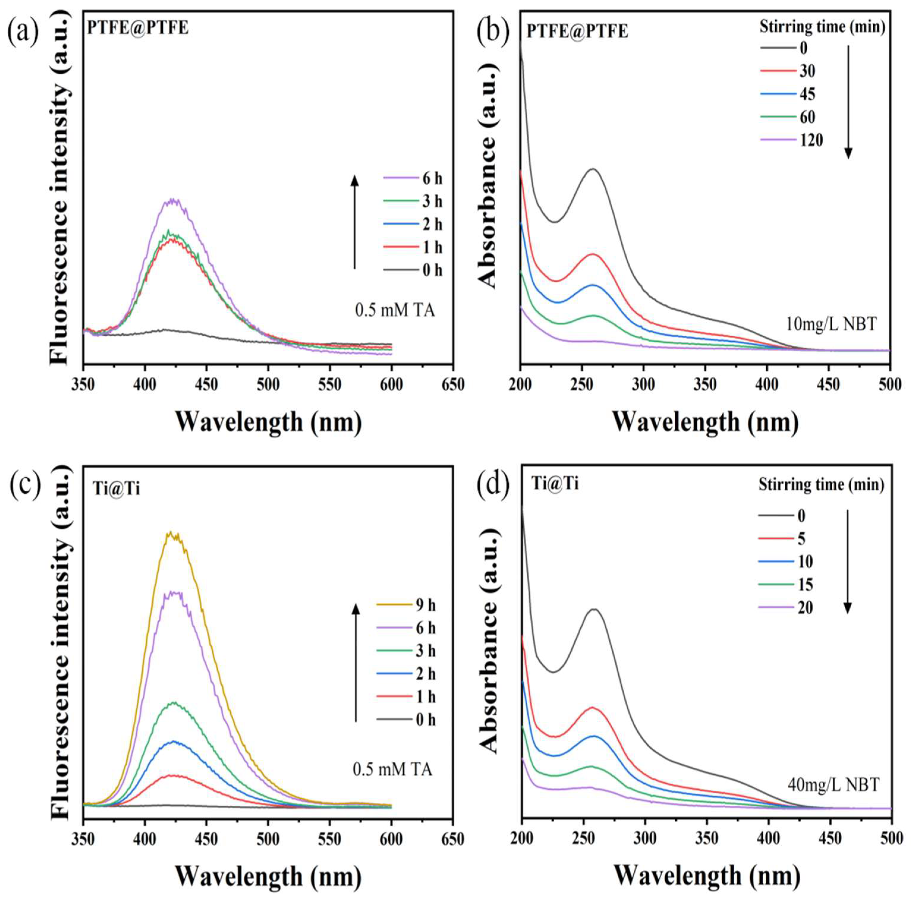 Catalysts 15 00754 g004